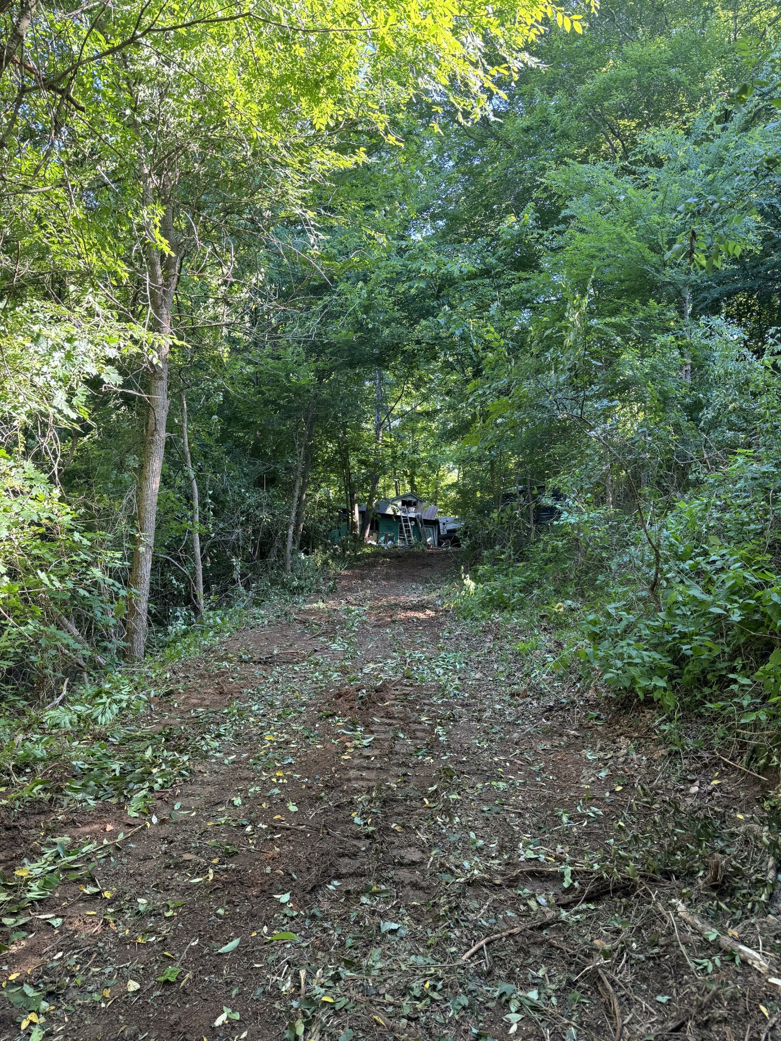 2533 Webb Hollow Road Williamsport, TN 38487 - Photo 13 of 36 a view of outdoor space and tree