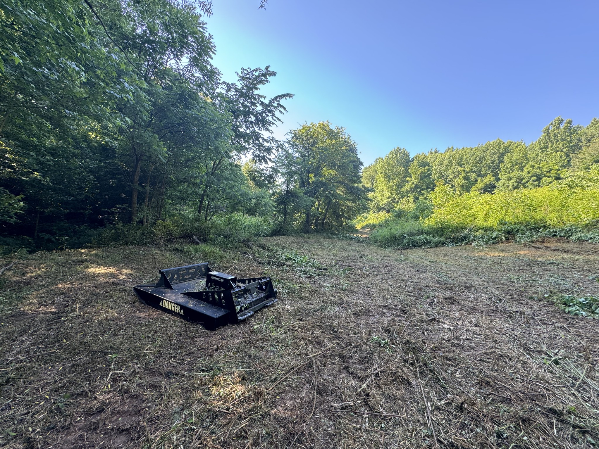 2533 Webb Hollow Road Williamsport, TN 38487 - Photo 16 of 36 a big yard with lots of green space
