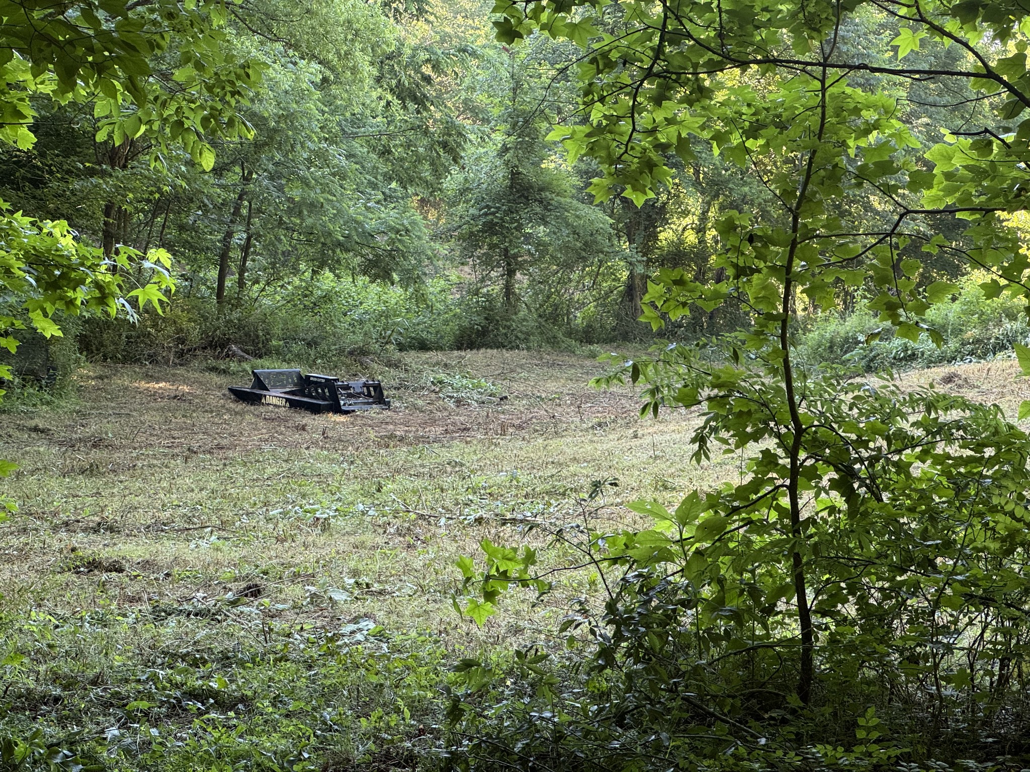 2533 Webb Hollow Road Williamsport, TN 38487 - Photo 17 of 36 a view of outdoor space and yard