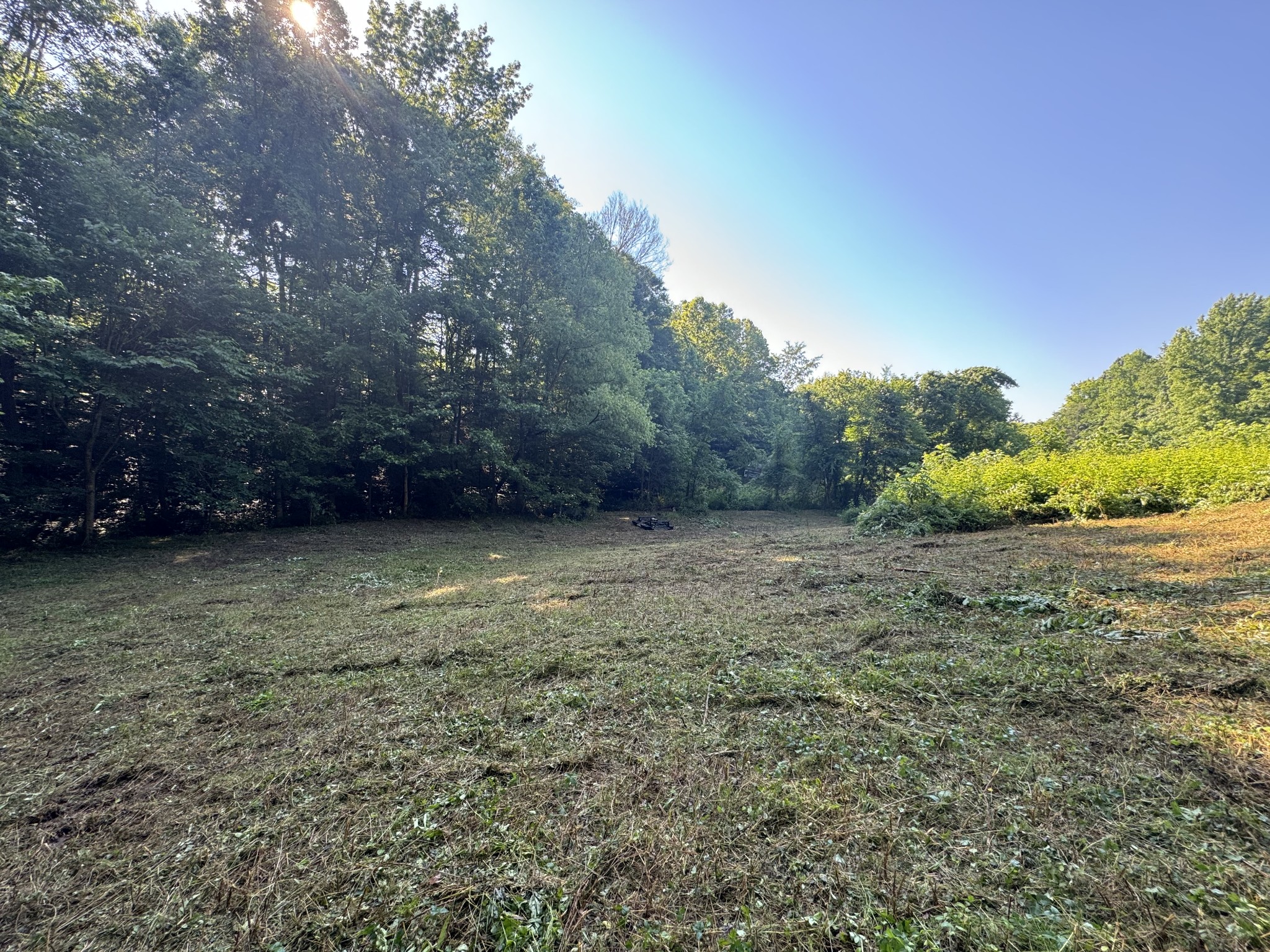 2533 Webb Hollow Road Williamsport, TN 38487 - Photo 28 of 36 a view of outdoor space and yard