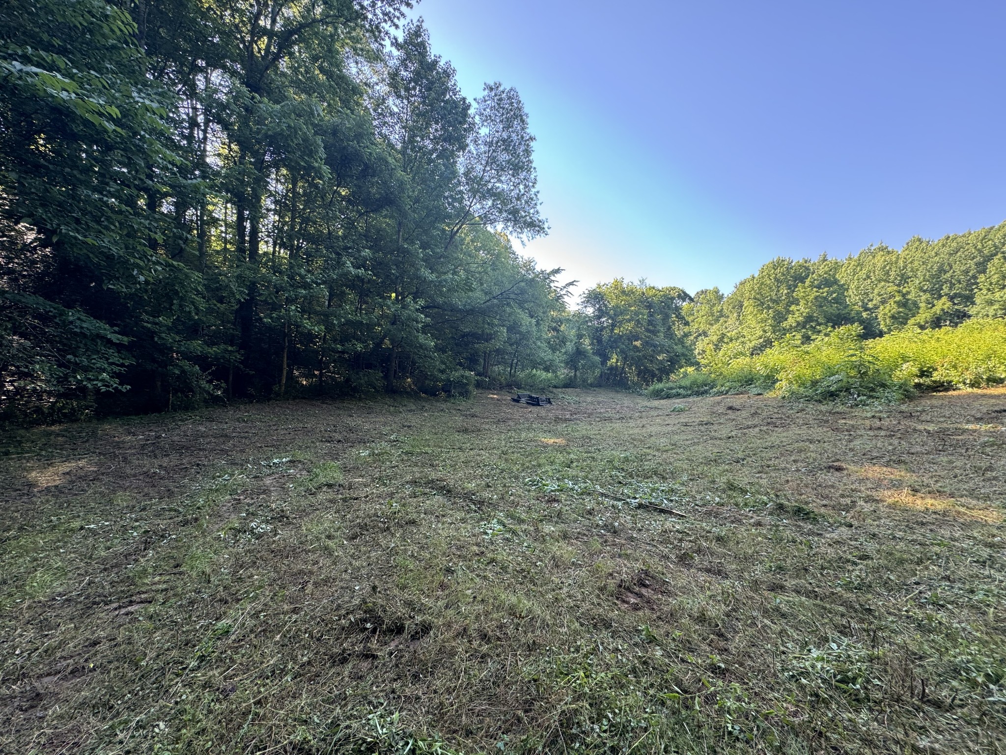 2533 Webb Hollow Road Williamsport, TN 38487 - Photo 29 of 36 a view of a field with trees in the background