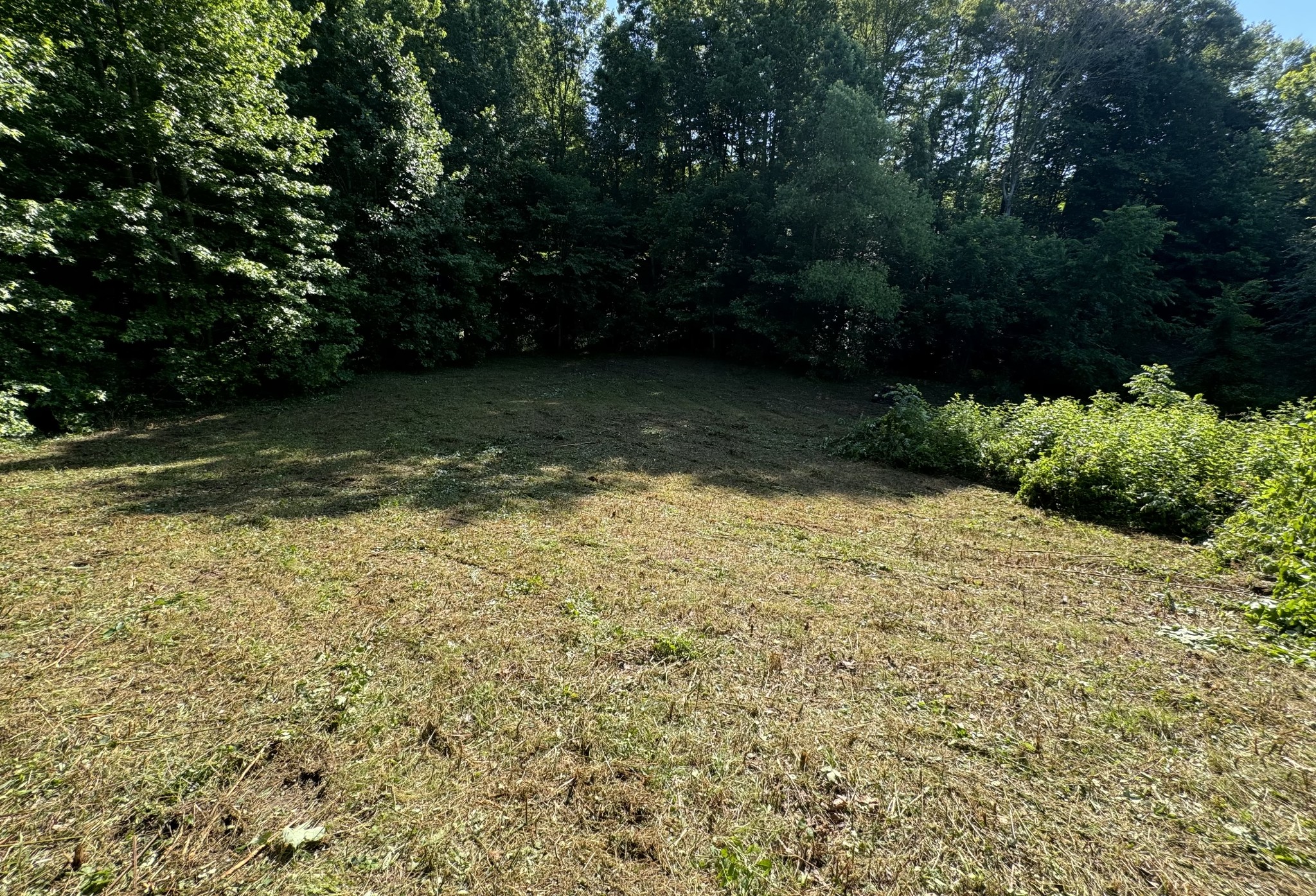 2533 Webb Hollow Road Williamsport, TN 38487 - Photo 4 of 36 a view of a yard