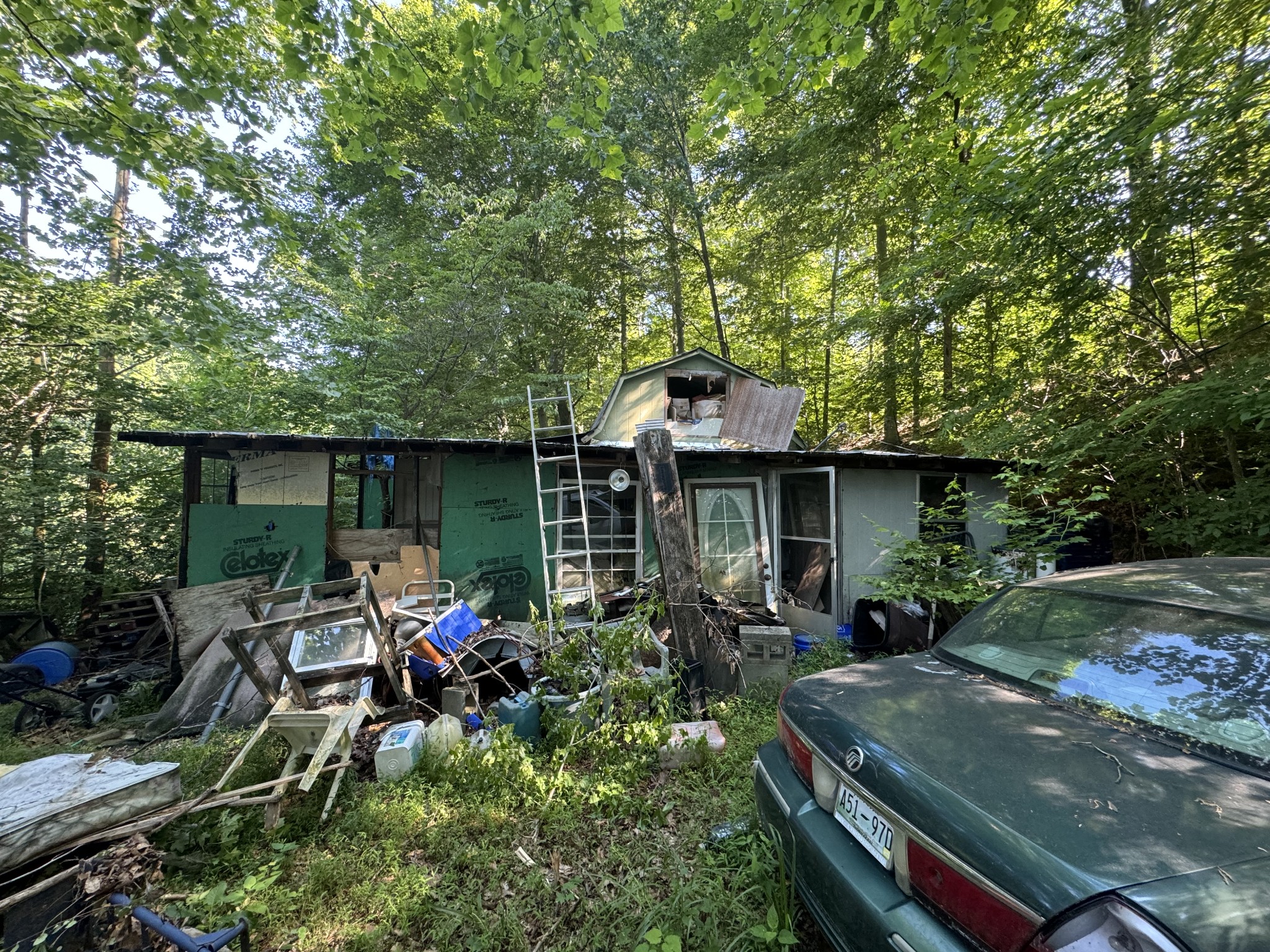 2533 Webb Hollow Road Williamsport, TN 38487 - Photo 5 of 36 a view of backyard with outdoor seating and green space