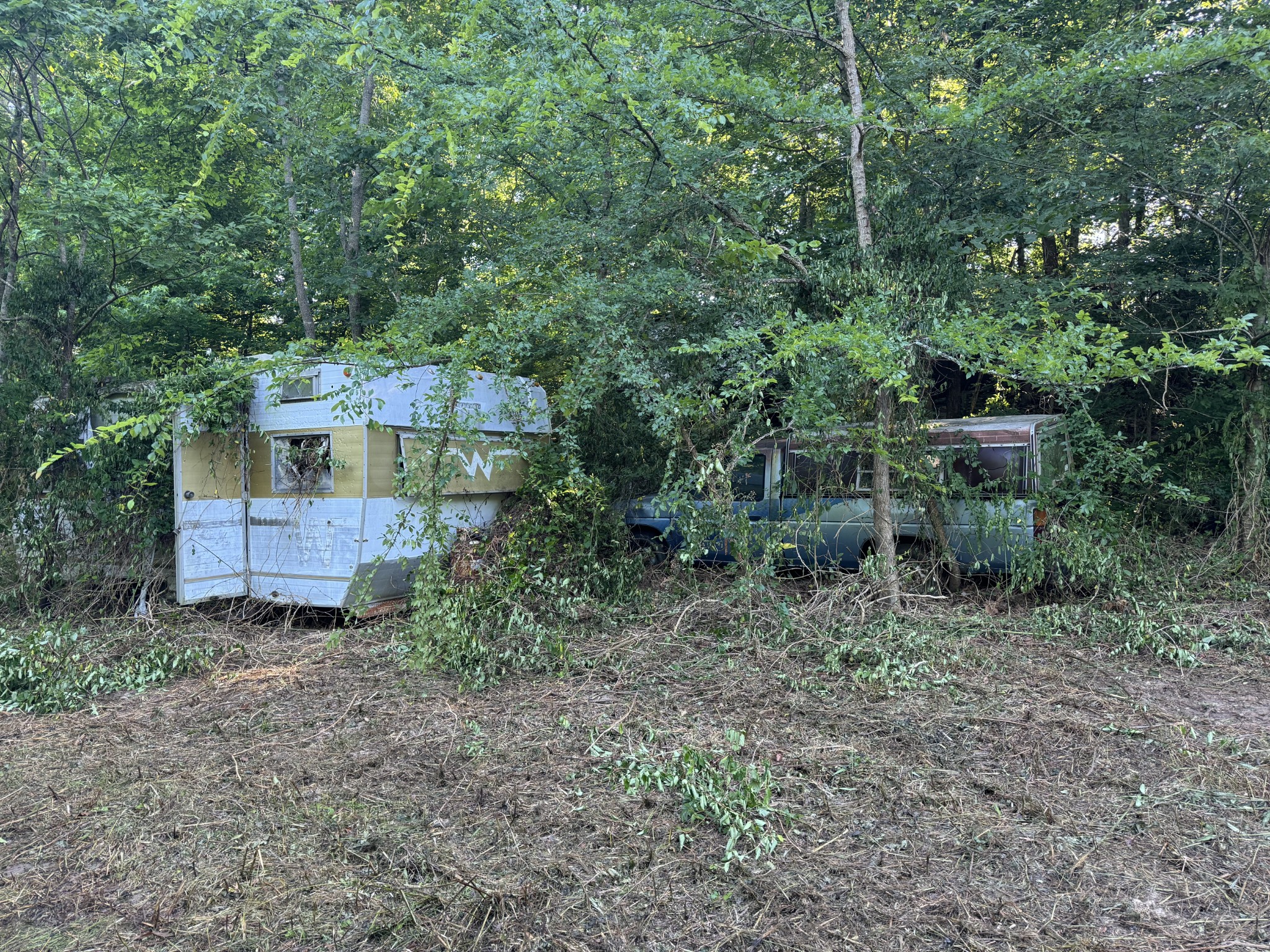 2533 Webb Hollow Road Williamsport, TN 38487 - Photo 7 of 36 a view of a house with a yard and sitting area