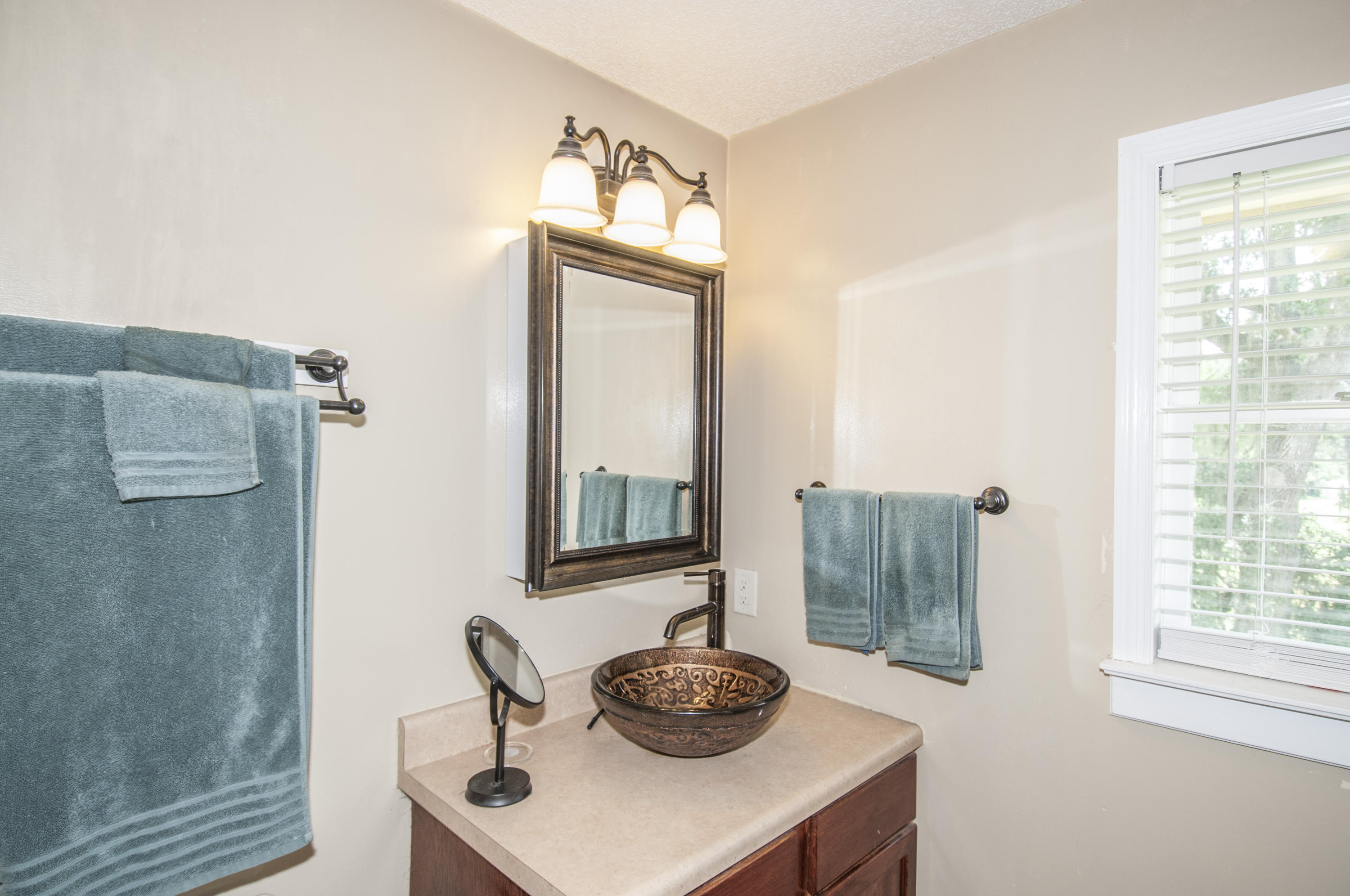 5626 Salters Hill Road Ravenel, SC 29470 - Photo 17 of 51 Master Bath