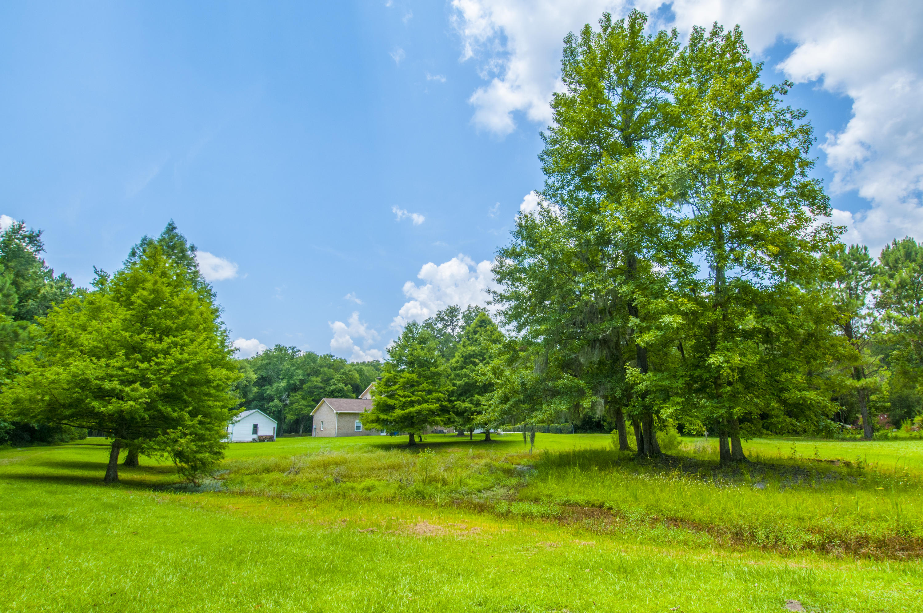5626 Salters Hill Road Ravenel, SC 29470 - Photo 27 of 51 Land