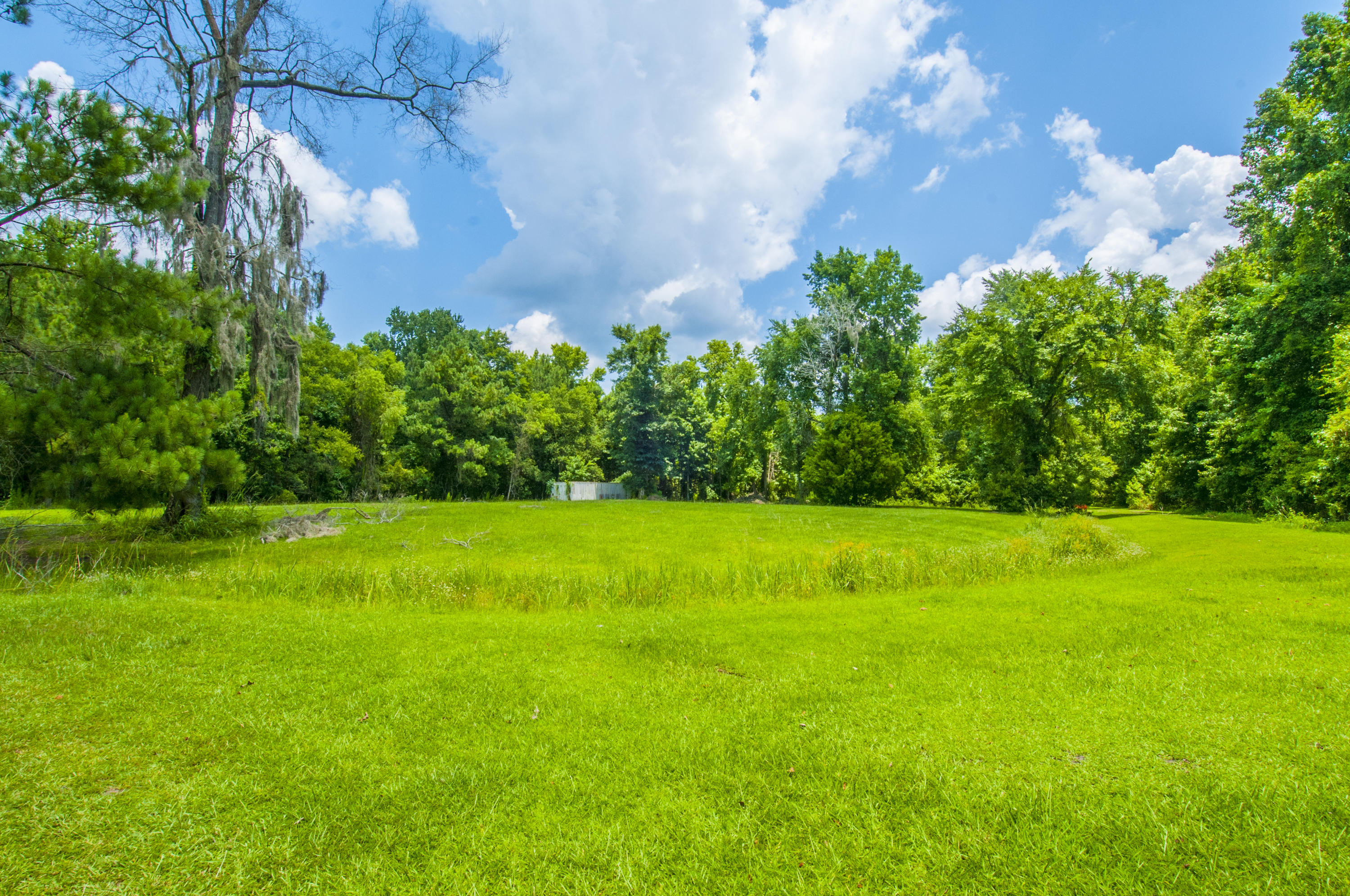 5626 Salters Hill Road Ravenel, SC 29470 - Photo 28 of 51 Land