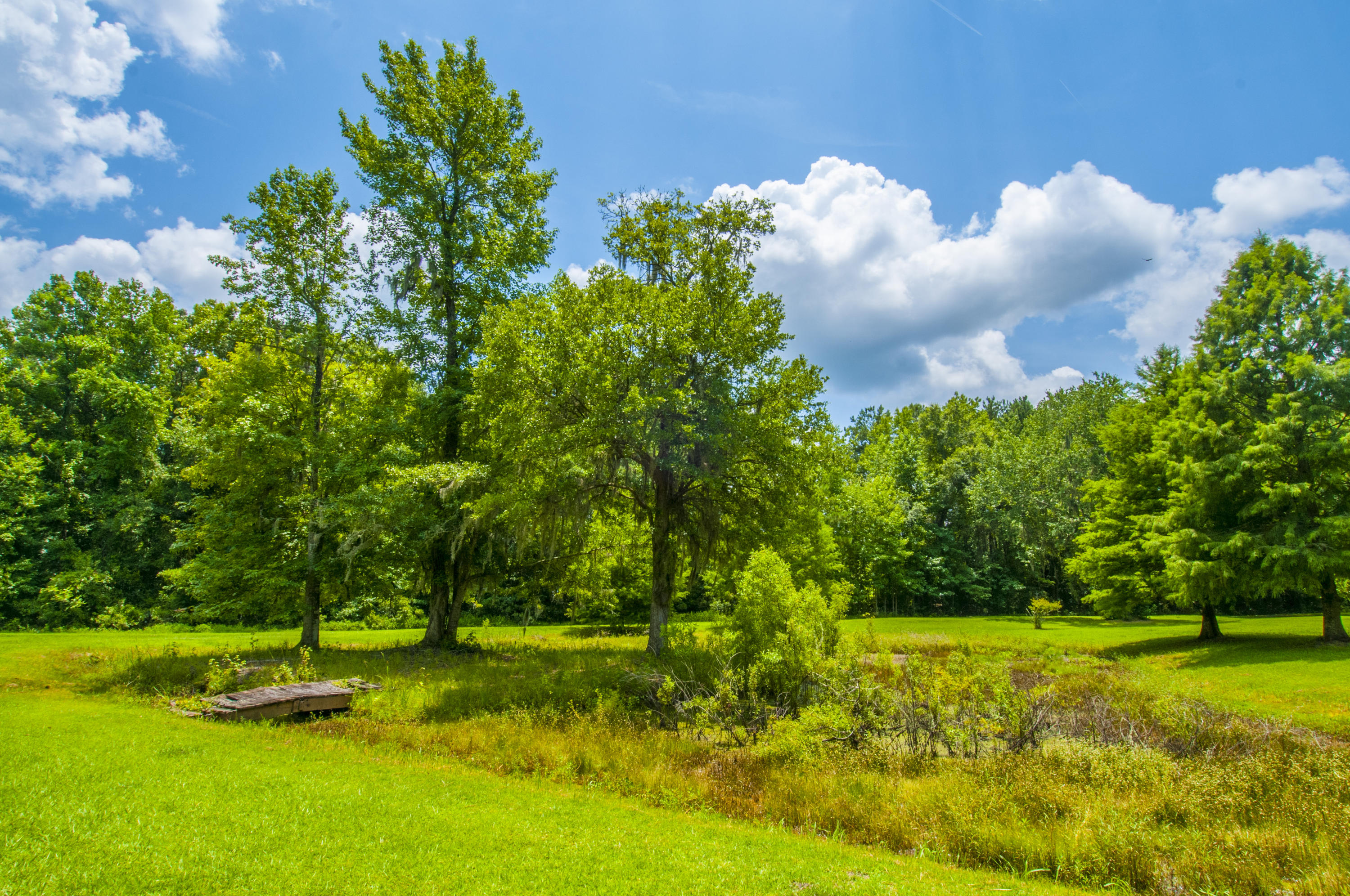 5626 Salters Hill Road Ravenel, SC 29470 - Photo 30 of 51 Land