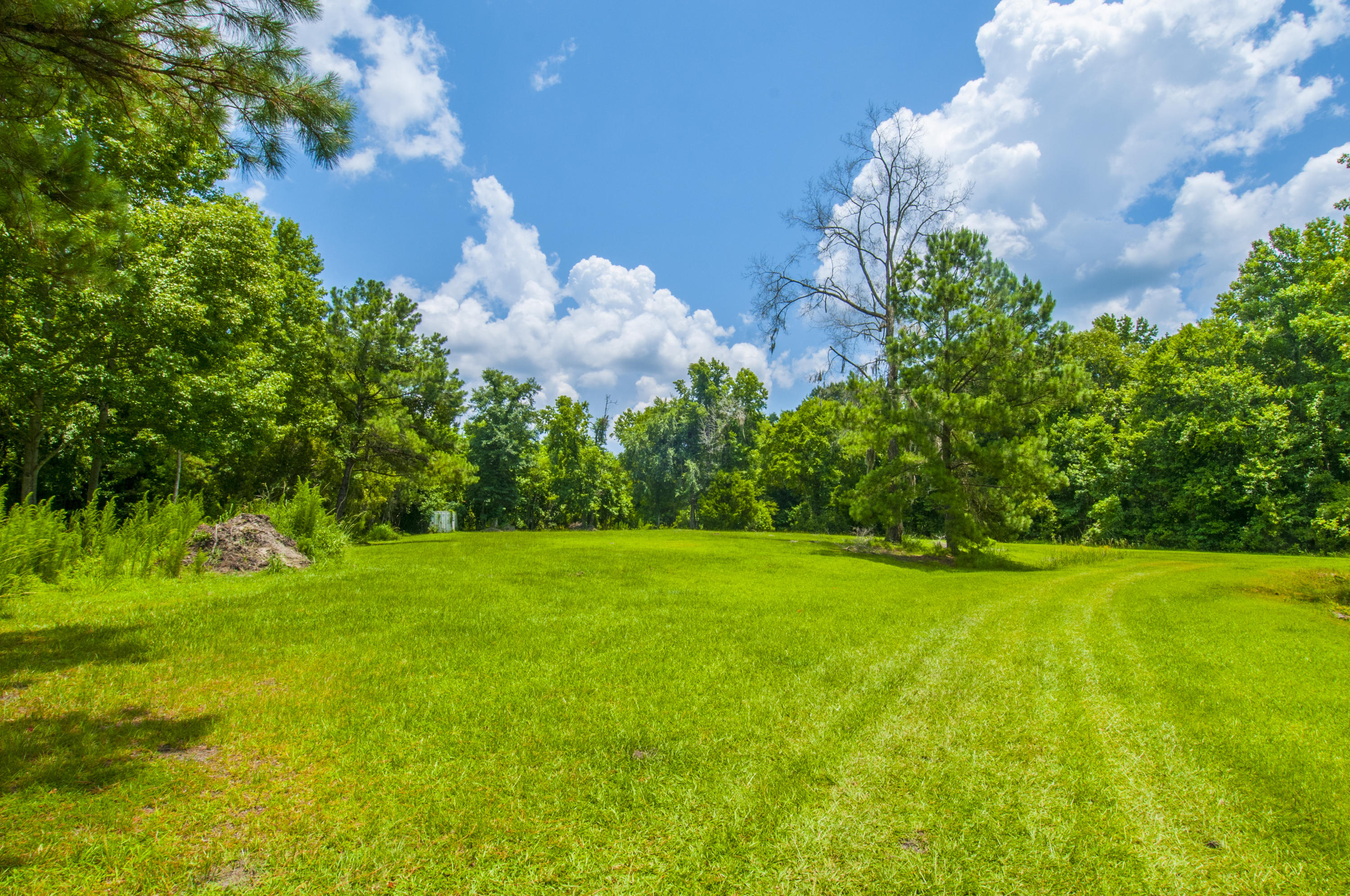 5626 Salters Hill Road Ravenel, SC 29470 - Photo 31 of 51 Land