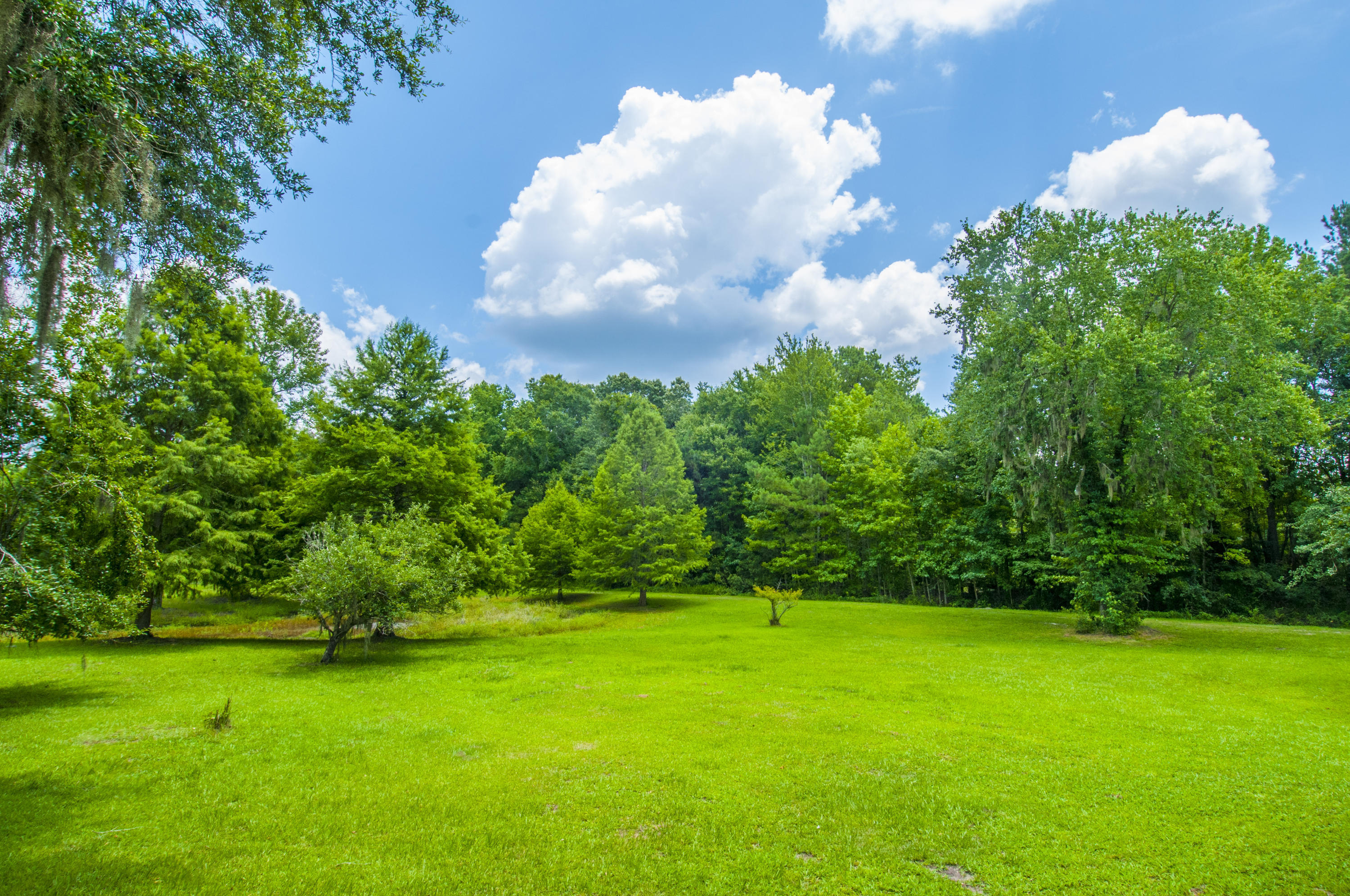 5626 Salters Hill Road Ravenel, SC 29470 - Photo 33 of 51 Land
