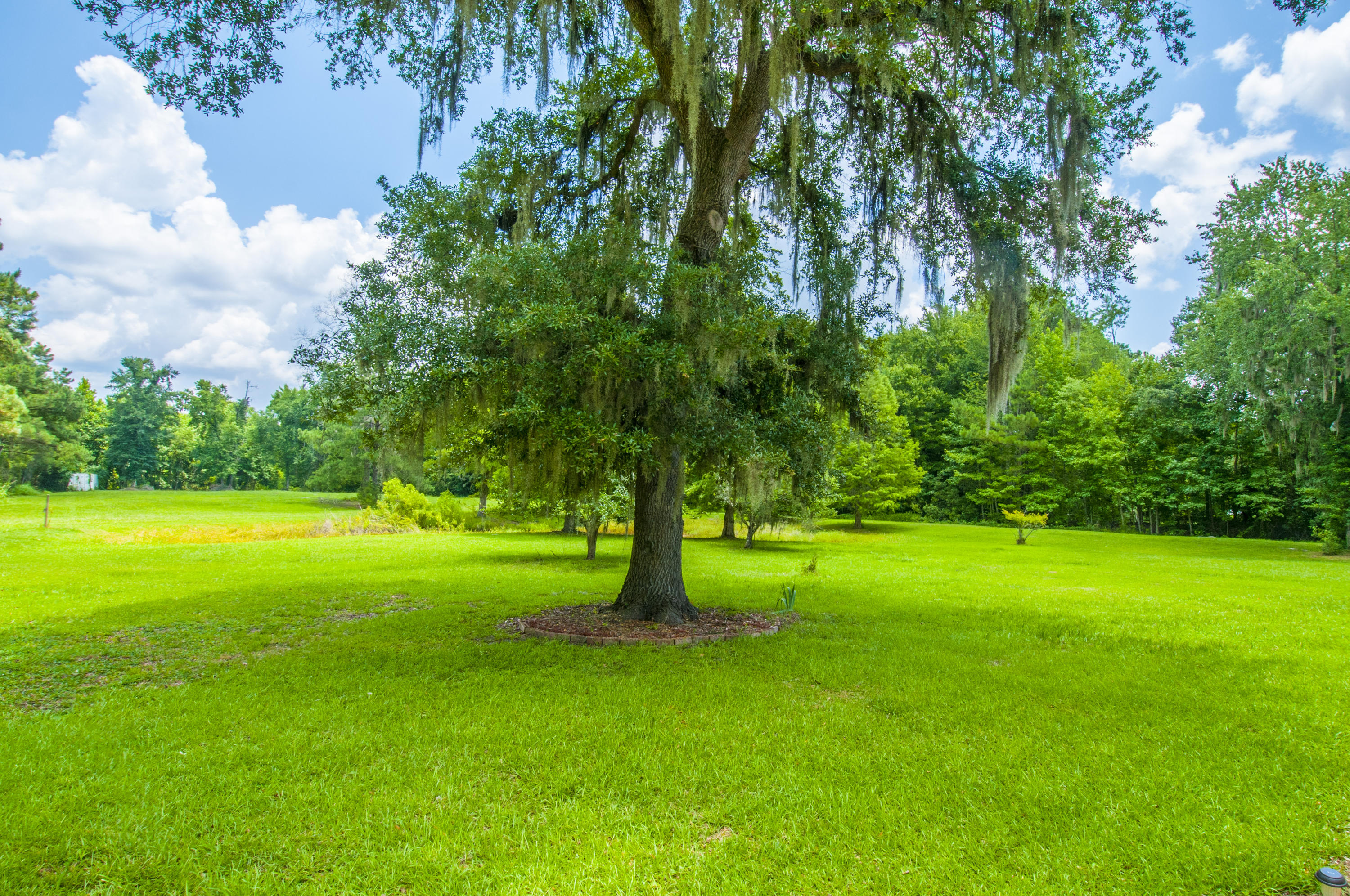 5626 Salters Hill Road Ravenel, SC 29470 - Photo 34 of 51 Land