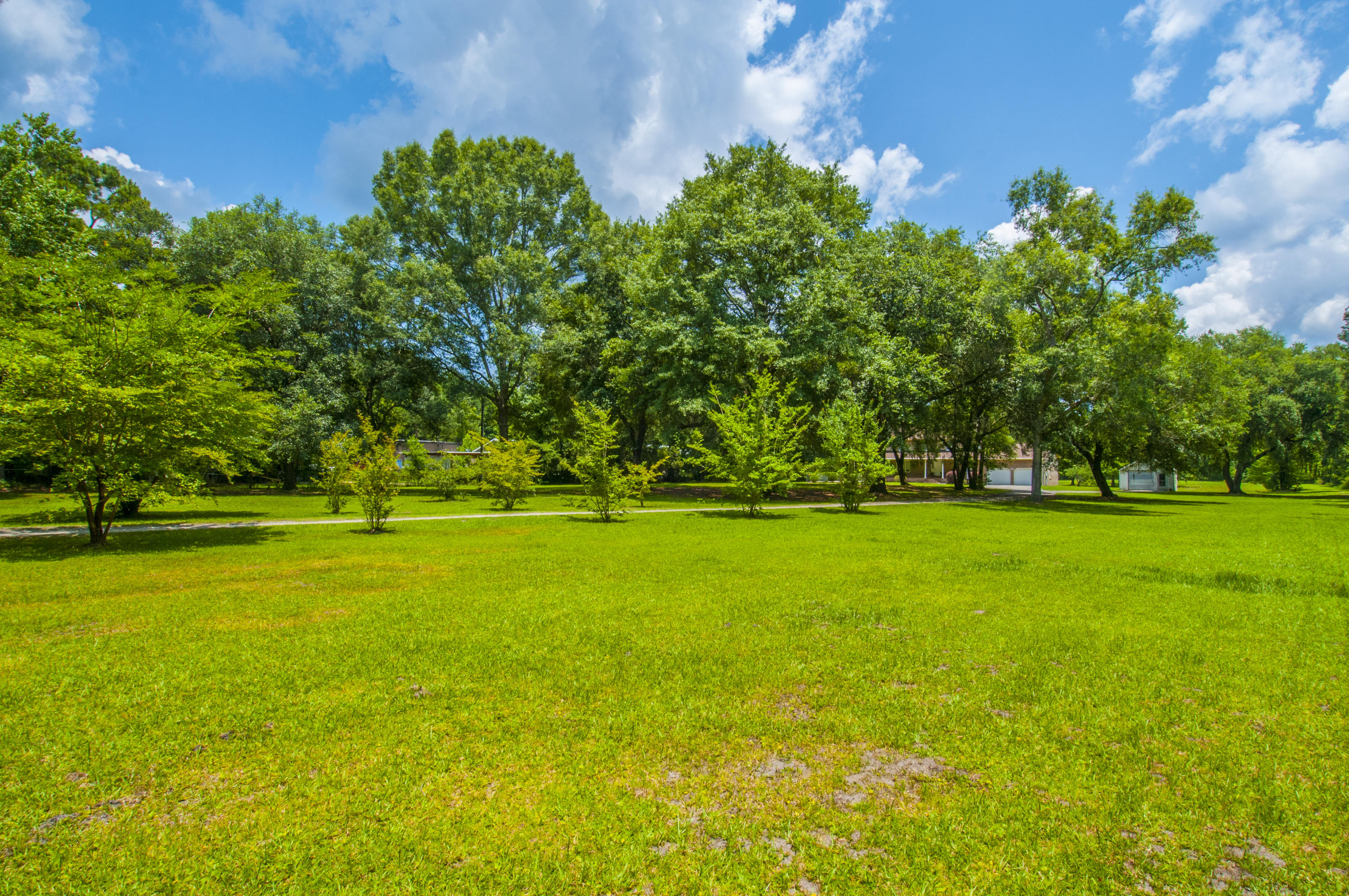 5626 Salters Hill Road Ravenel, SC 29470 - Photo 41 of 51 Land