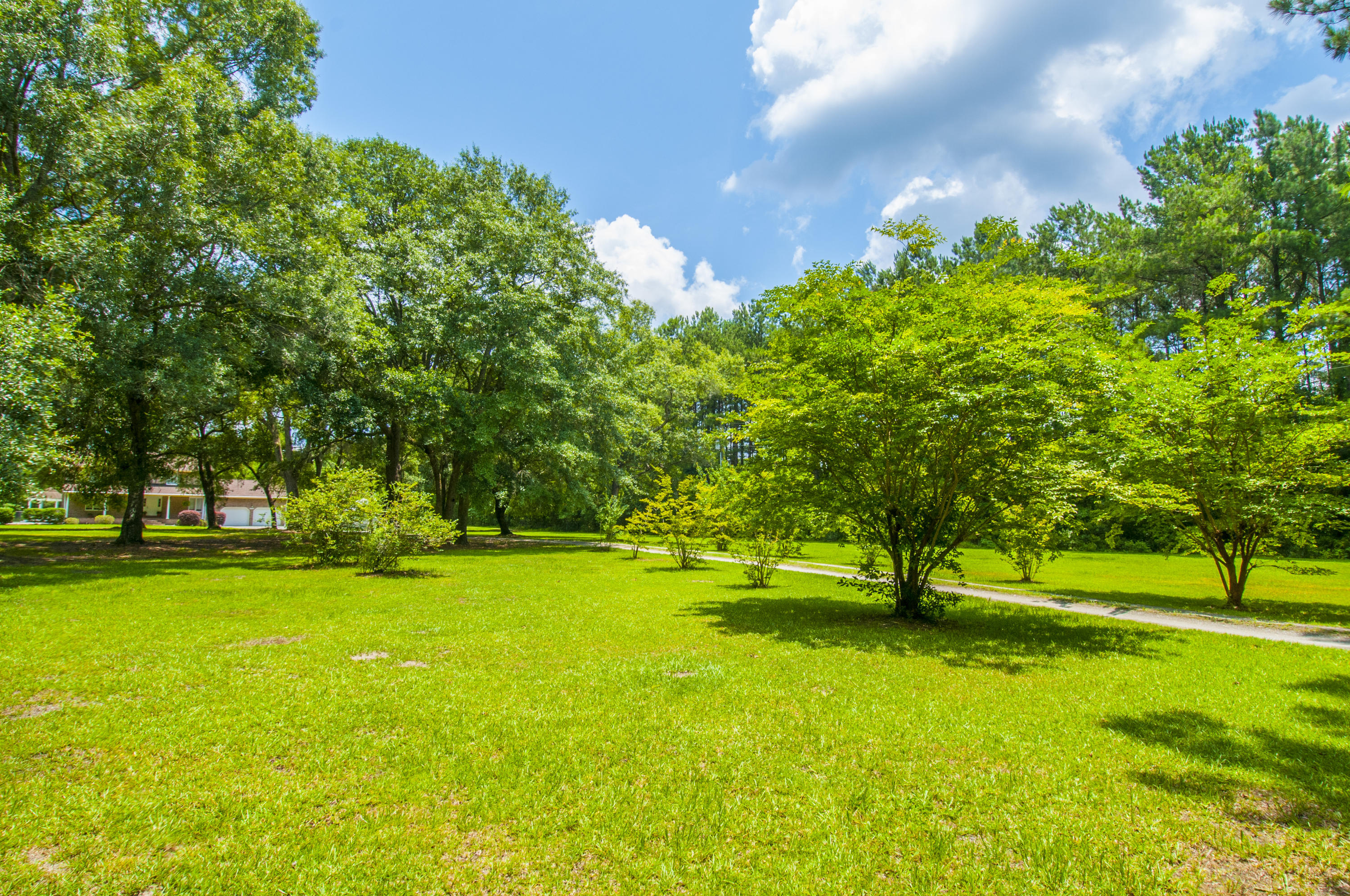 5626 Salters Hill Road Ravenel, SC 29470 - Photo 42 of 51 Front Yard View