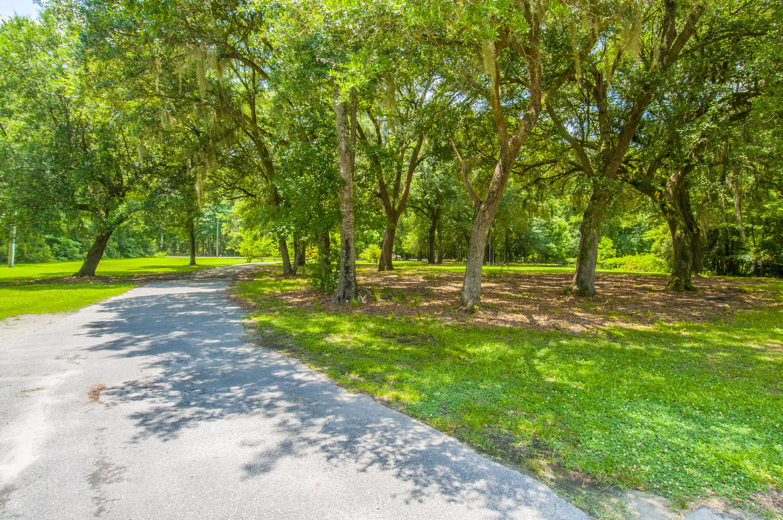 5626 Salters Hill Road Ravenel, SC 29470 - Photo 43 of 51 Driveway