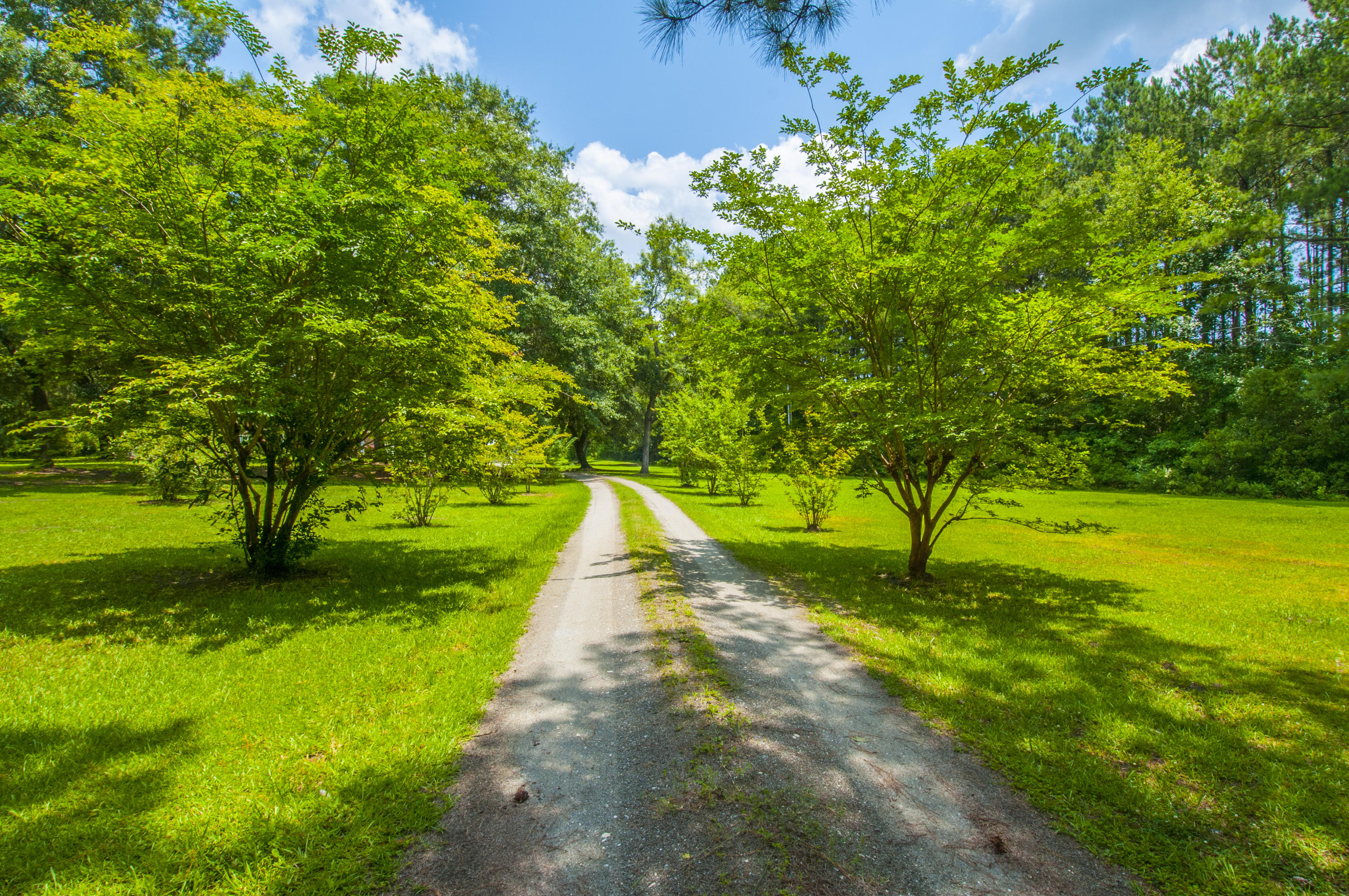 5626 Salters Hill Road Ravenel, SC 29470 - Photo 44 of 51 Driveway