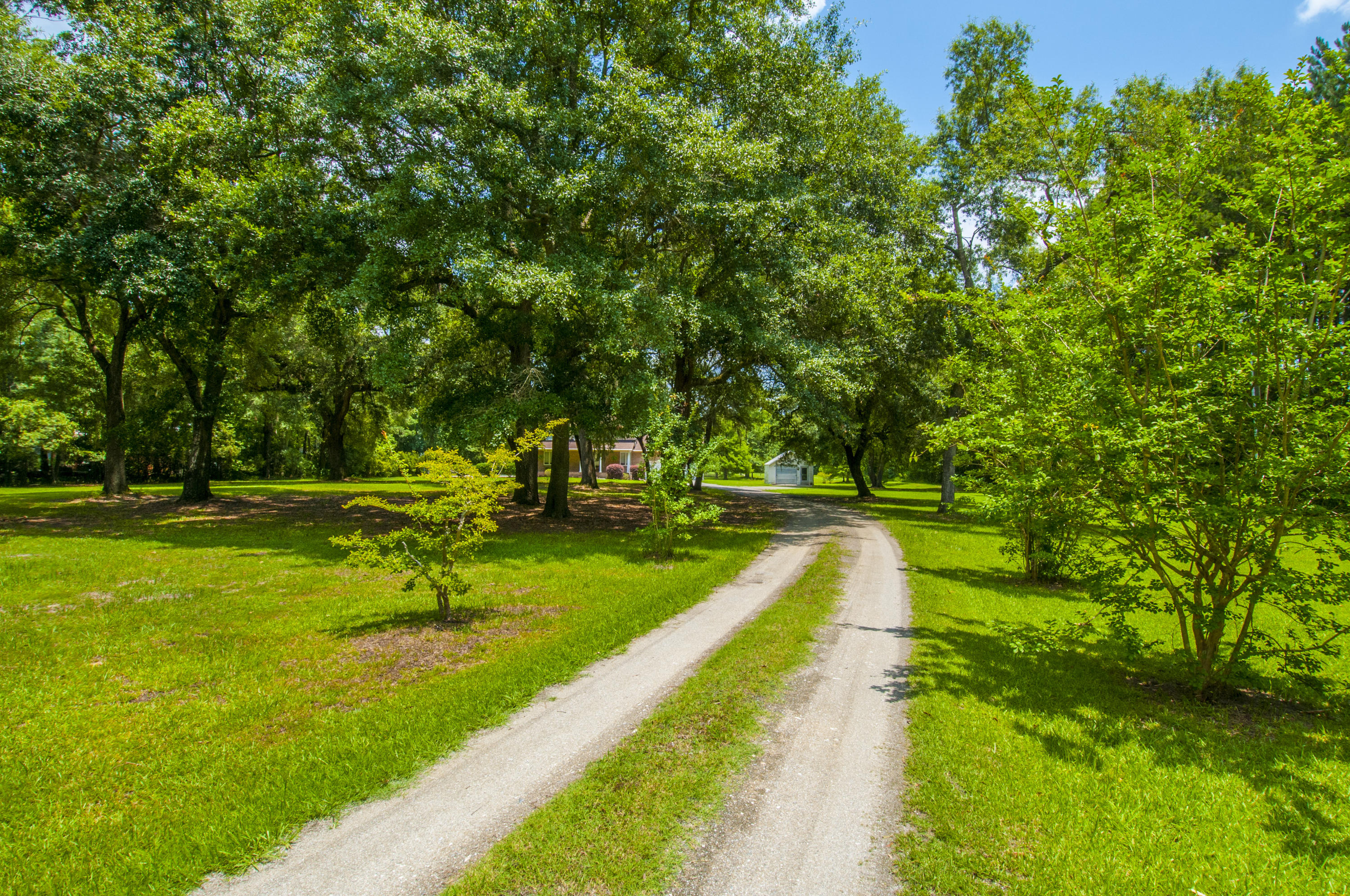 5626 Salters Hill Road Ravenel, SC 29470 - Photo 45 of 51 Driveway