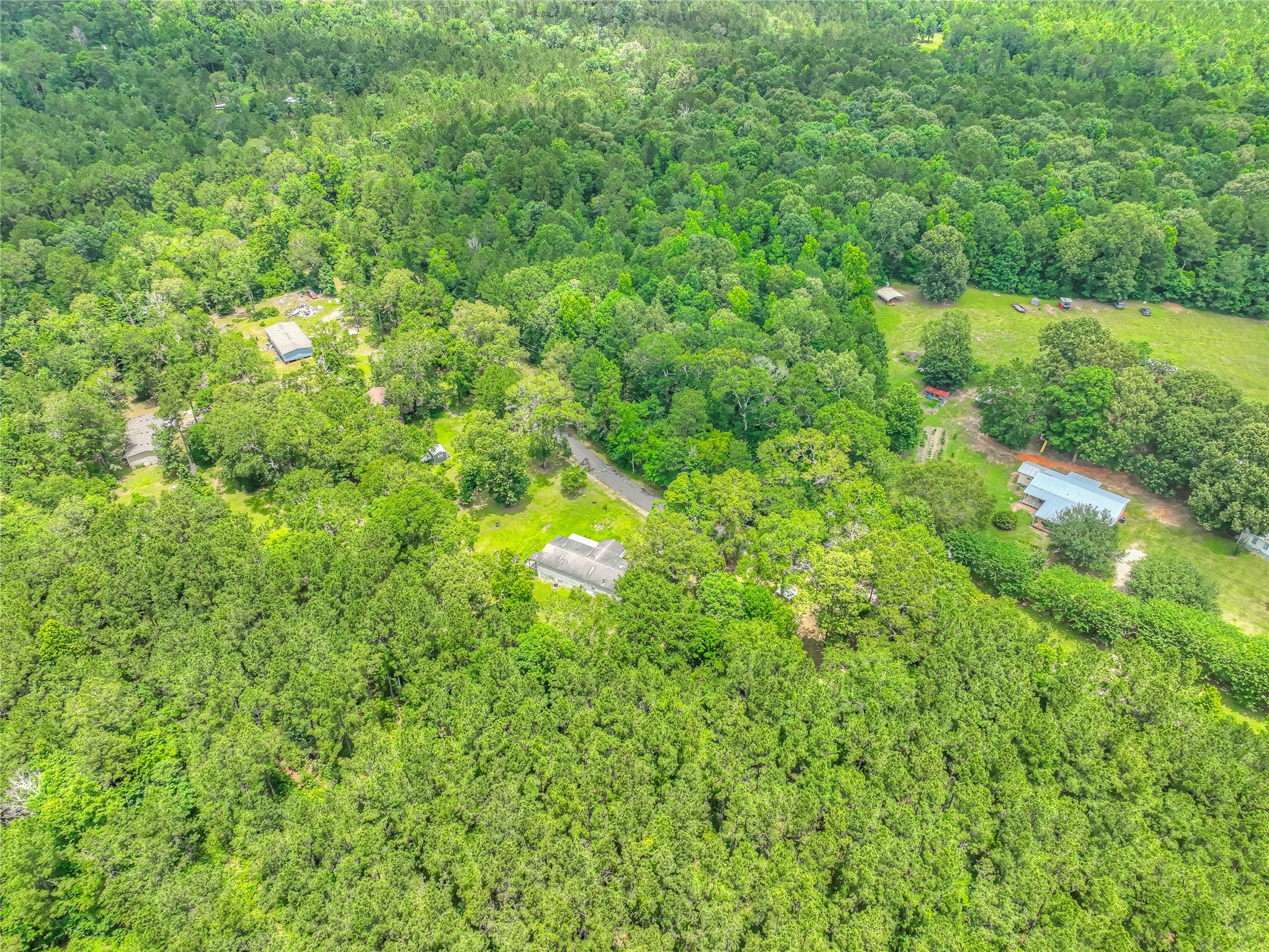 657 Parrish Road Livingston, TX 77351 - Photo 35 of 47