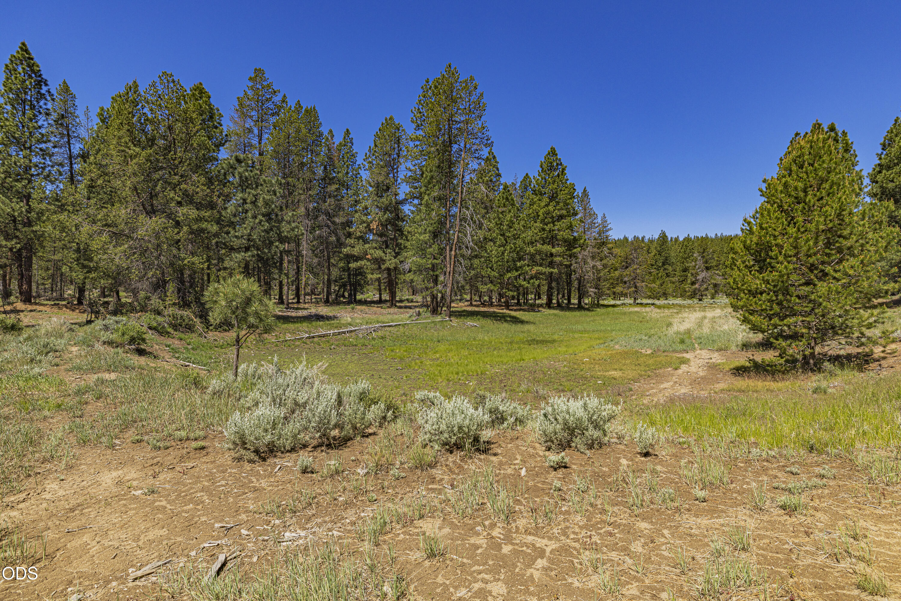 Williamson River Road, Unit 206226 Chiloquin, OR 97624 - Photo 43 of 50