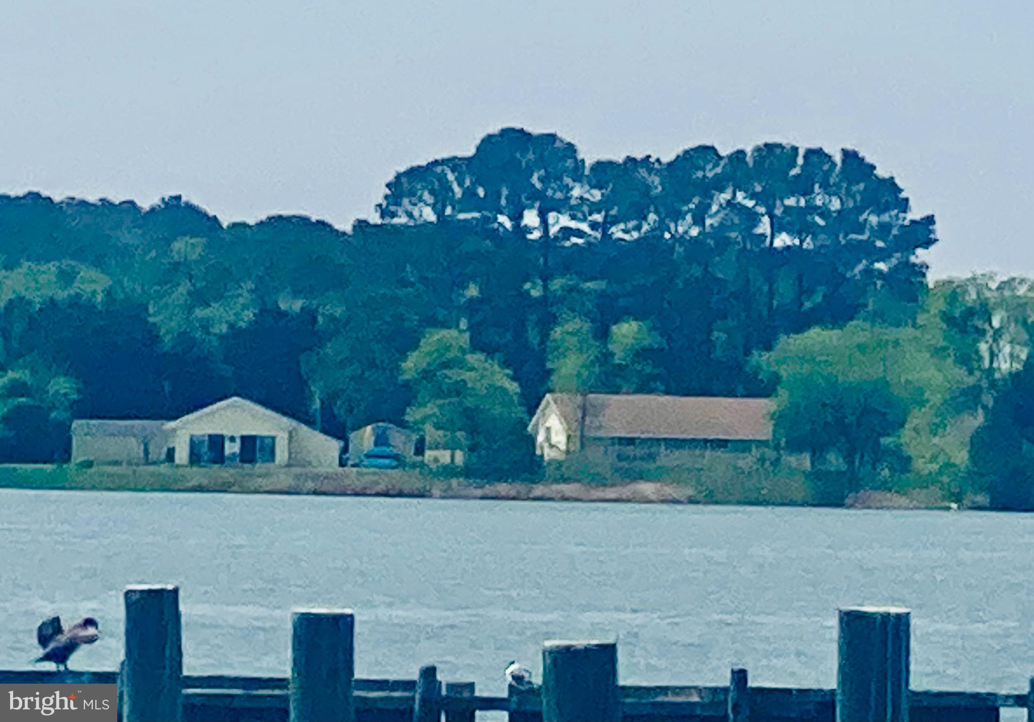 10273 Deal Island Road Deal Island, MD 21821 - Photo 2 of 77 View from Across the Water at the entire property