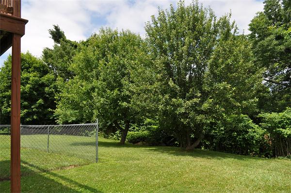 82 Wedgewood Road Worcester, MA 01602 - Photo 27 of 30 Gallery Image 27