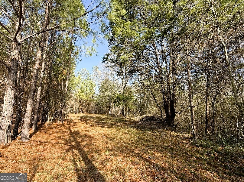 0 Stinchcomb Road Elberton, GA 30635 - Photo 10 of 16