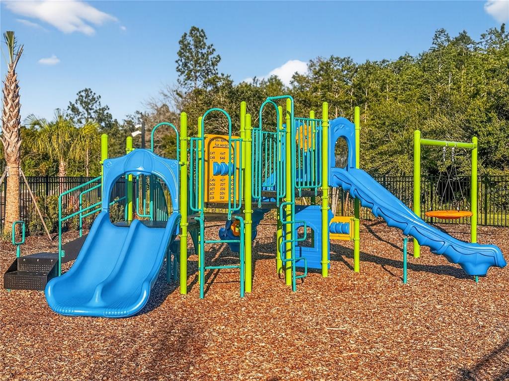 2735 Skyline Loop Kissimmee, FL 34758 - Photo 31 of 33 a view of a slide