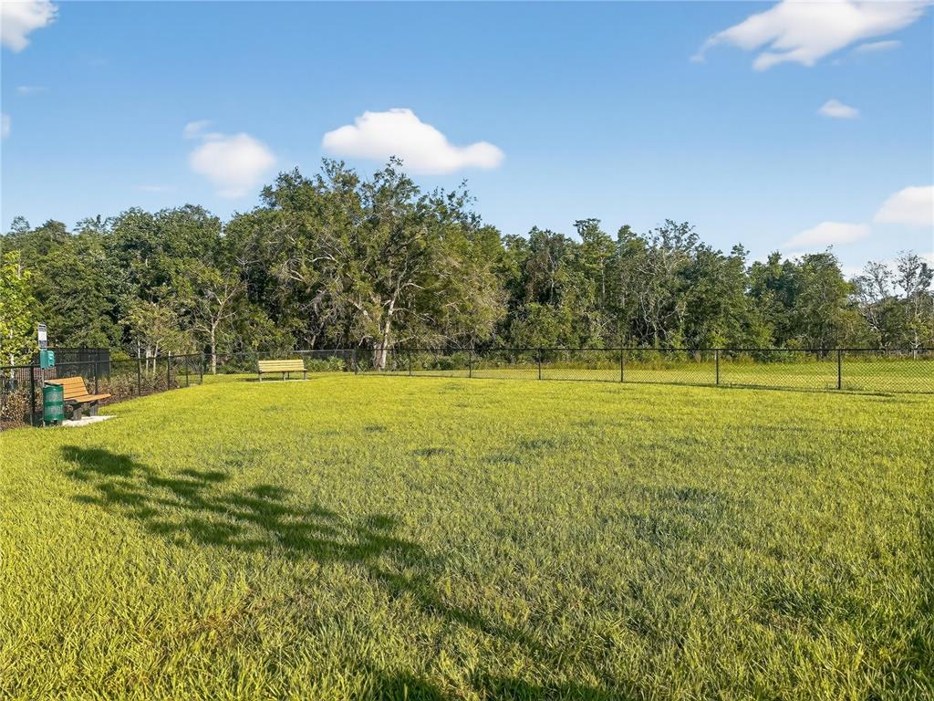 2735 Skyline Loop Kissimmee, FL 34758 - Photo 35 of 37 a view of outdoor space with garden and trees