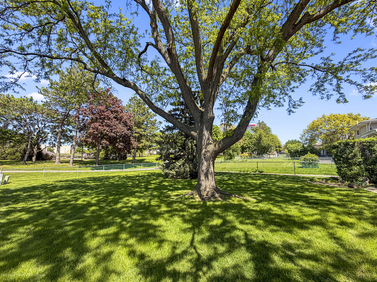 1570 West Goldengate Drive Addison, IL 60101 - Photo 15 of 34 a view of a trees in a yard