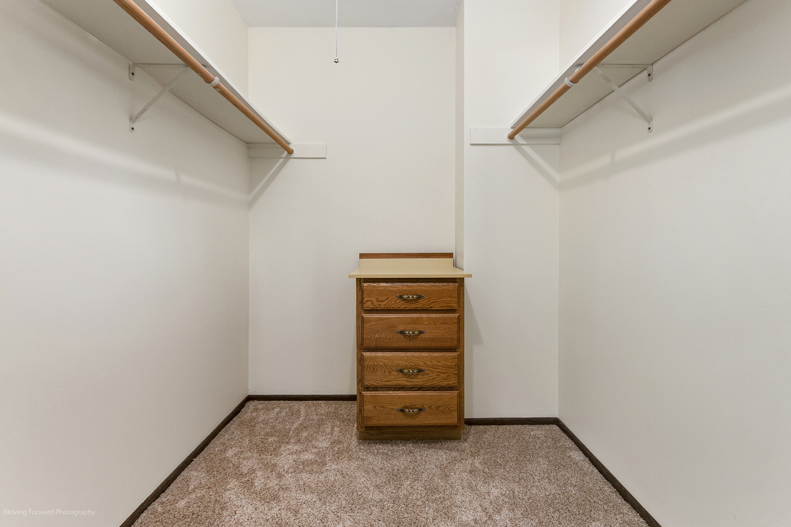 1570 West Goldengate Drive Addison, IL 60101 - Photo 20 of 34 a view of an empty walk in closet