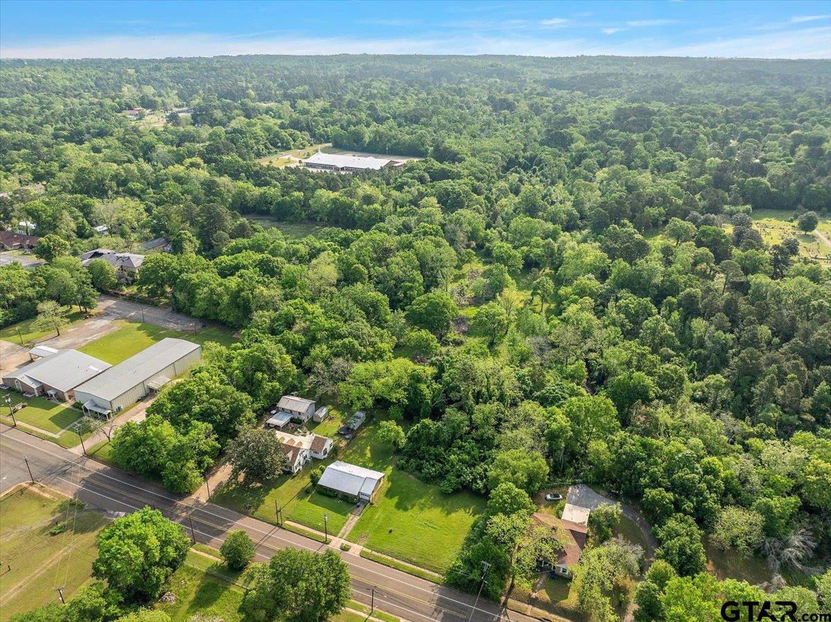 429 Main Street Rusk, TX 75785 - Photo 24 of 26 a view of a city with lush green forest