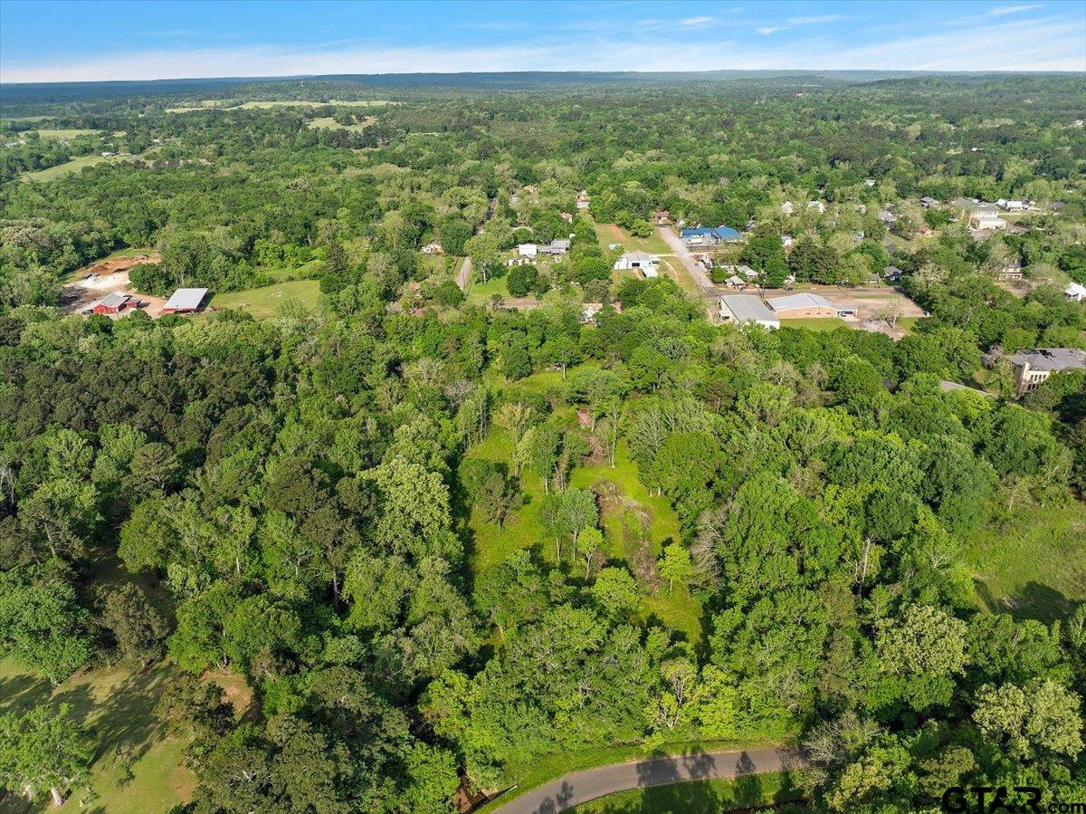 429 Main Street Rusk, TX 75785 - Photo 25 of 26 a view of a city with lush green forest