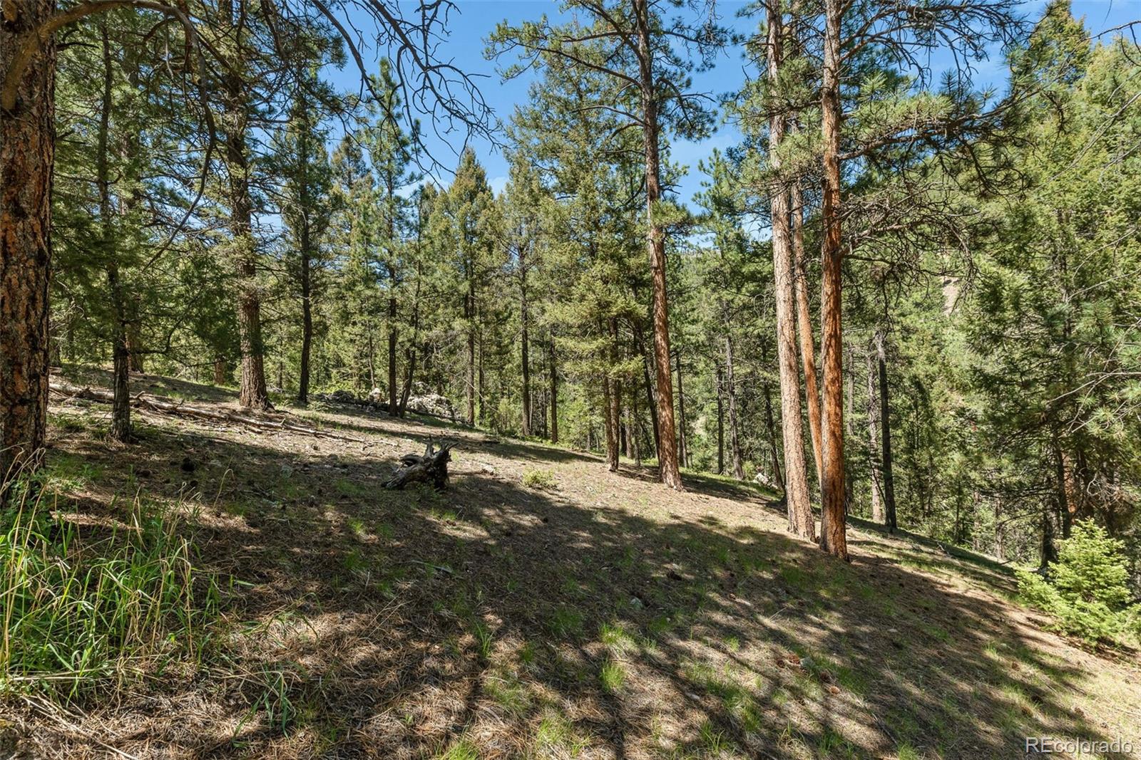0 Shiloh Road Conifer, CO 80433 - Photo 11 of 22 Gallery Image 11