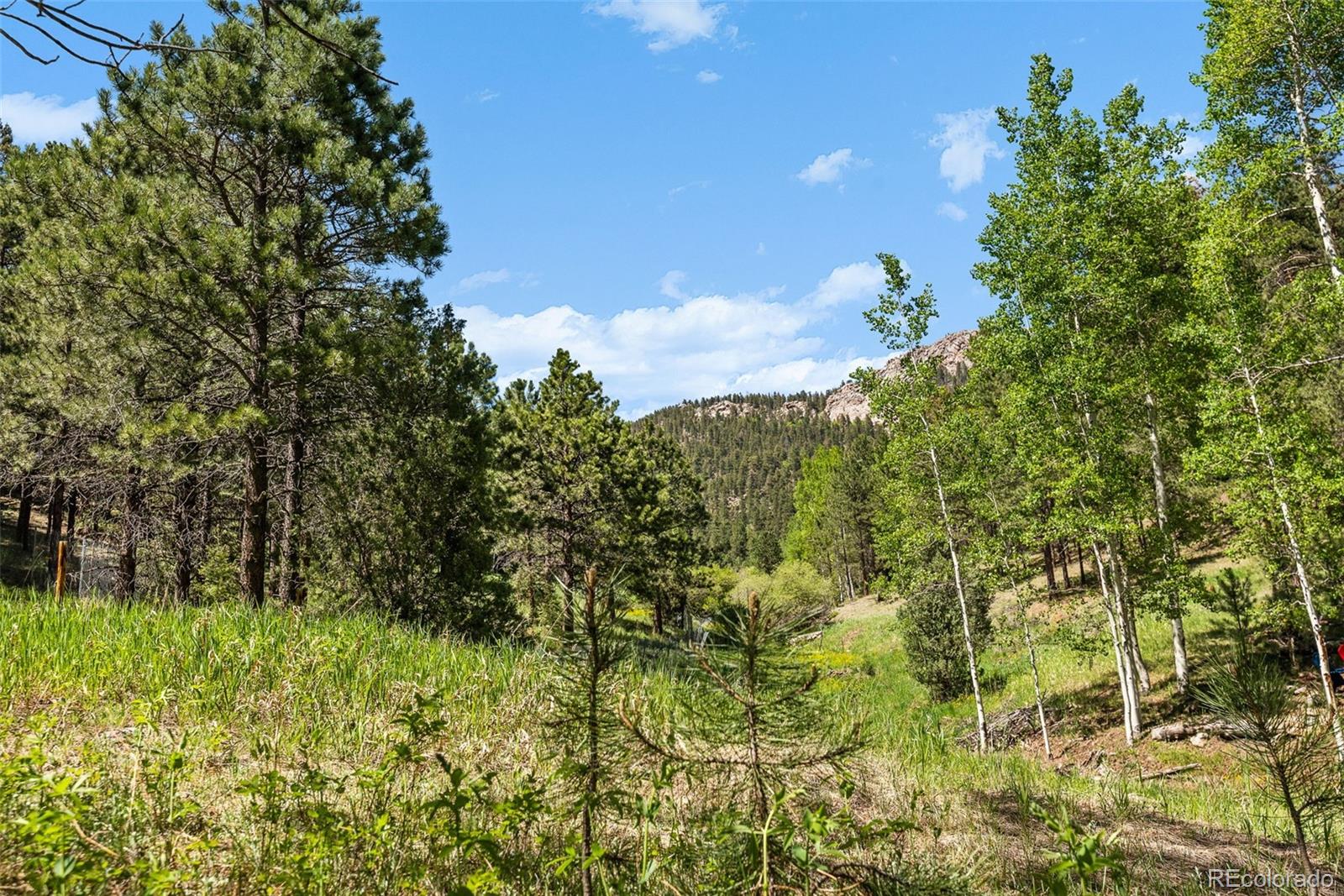 0 Shiloh Road Conifer, CO 80433 - Photo 18 of 22 Gallery Image 18