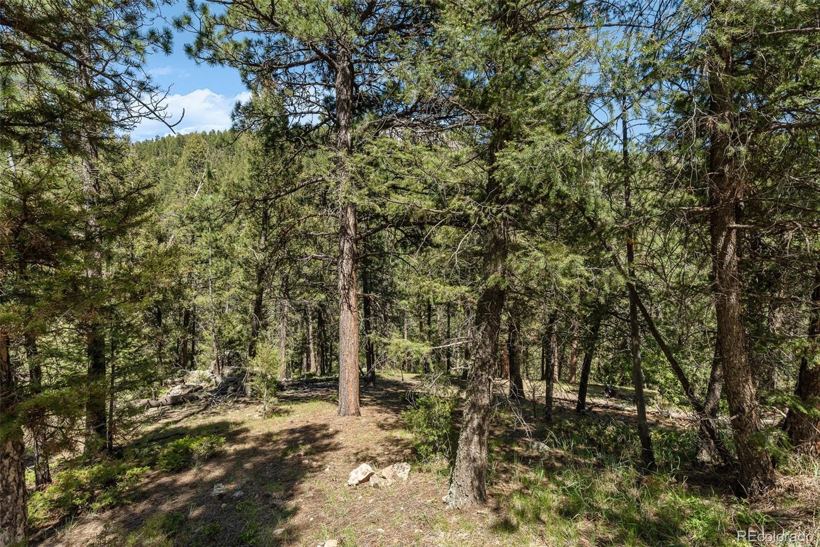 0 Shiloh Road Conifer, CO 80433 - Photo 22 of 22 Gallery Image 22