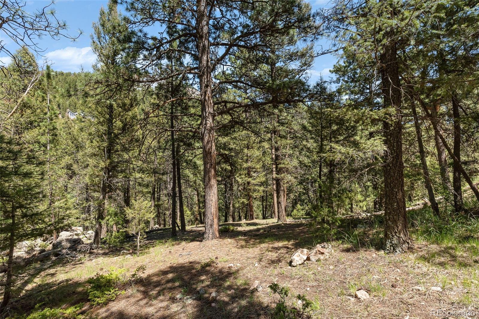 0 Shiloh Road Conifer, CO 80433 - Photo 8 of 22 Gallery Image 8