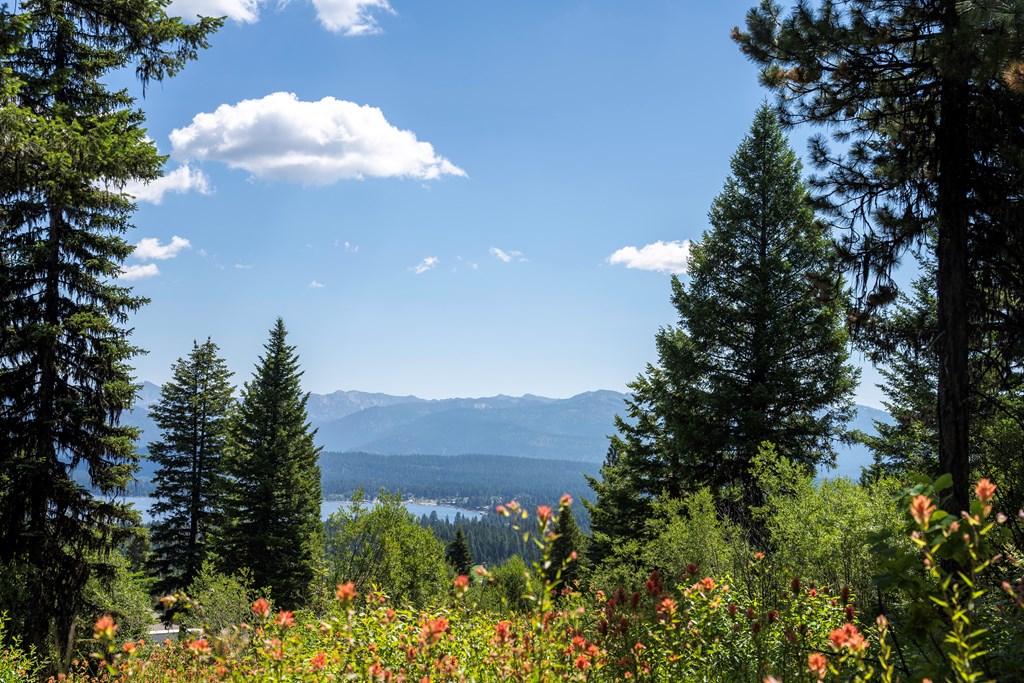 661 Migratory Rdg Way, Unit 72 McCall, ID 83638 - Photo 3 of 6