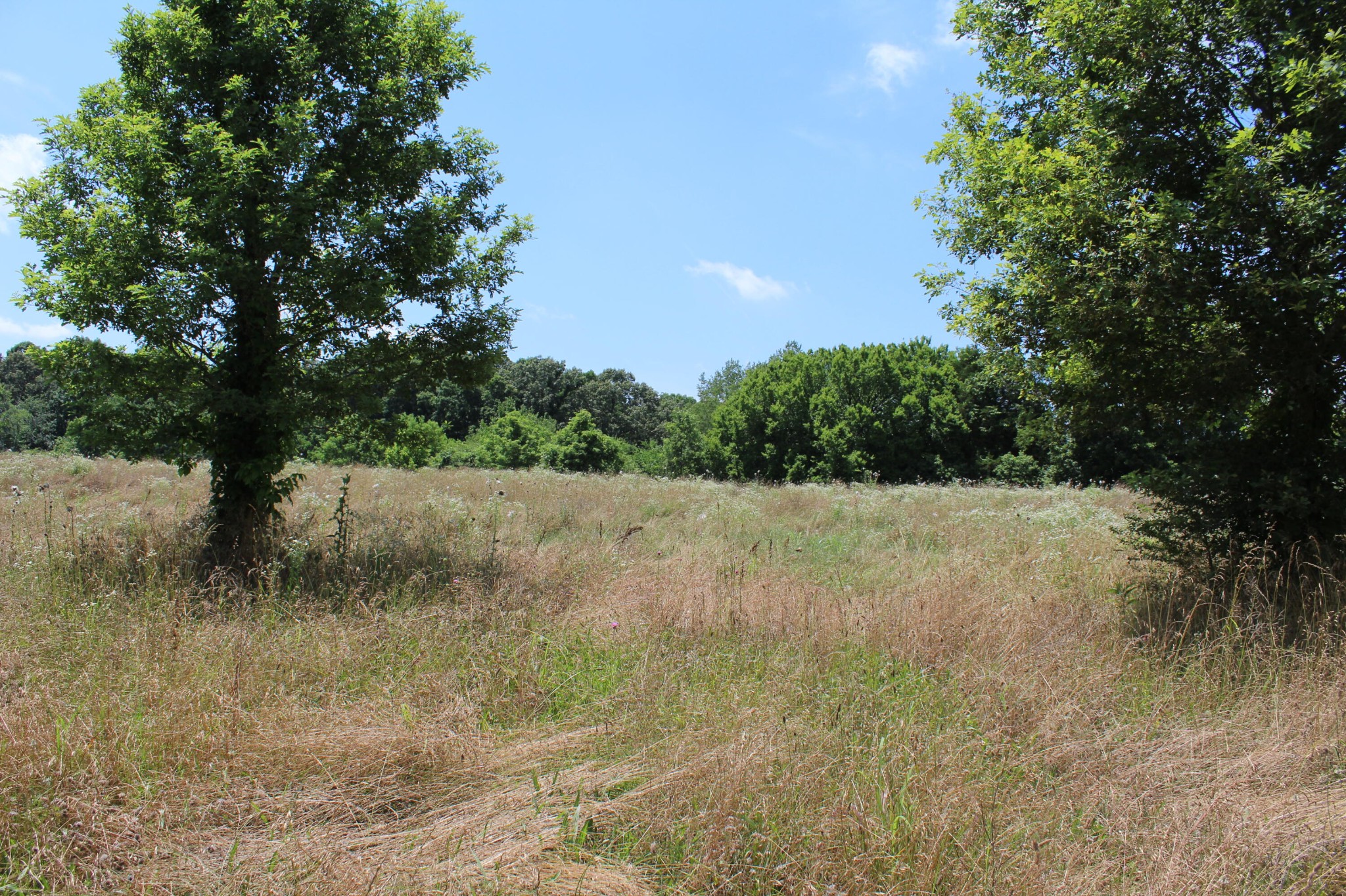 361 Etowah Road Benton, TN 37307 - Photo 13 of 18 Gallery Image 13