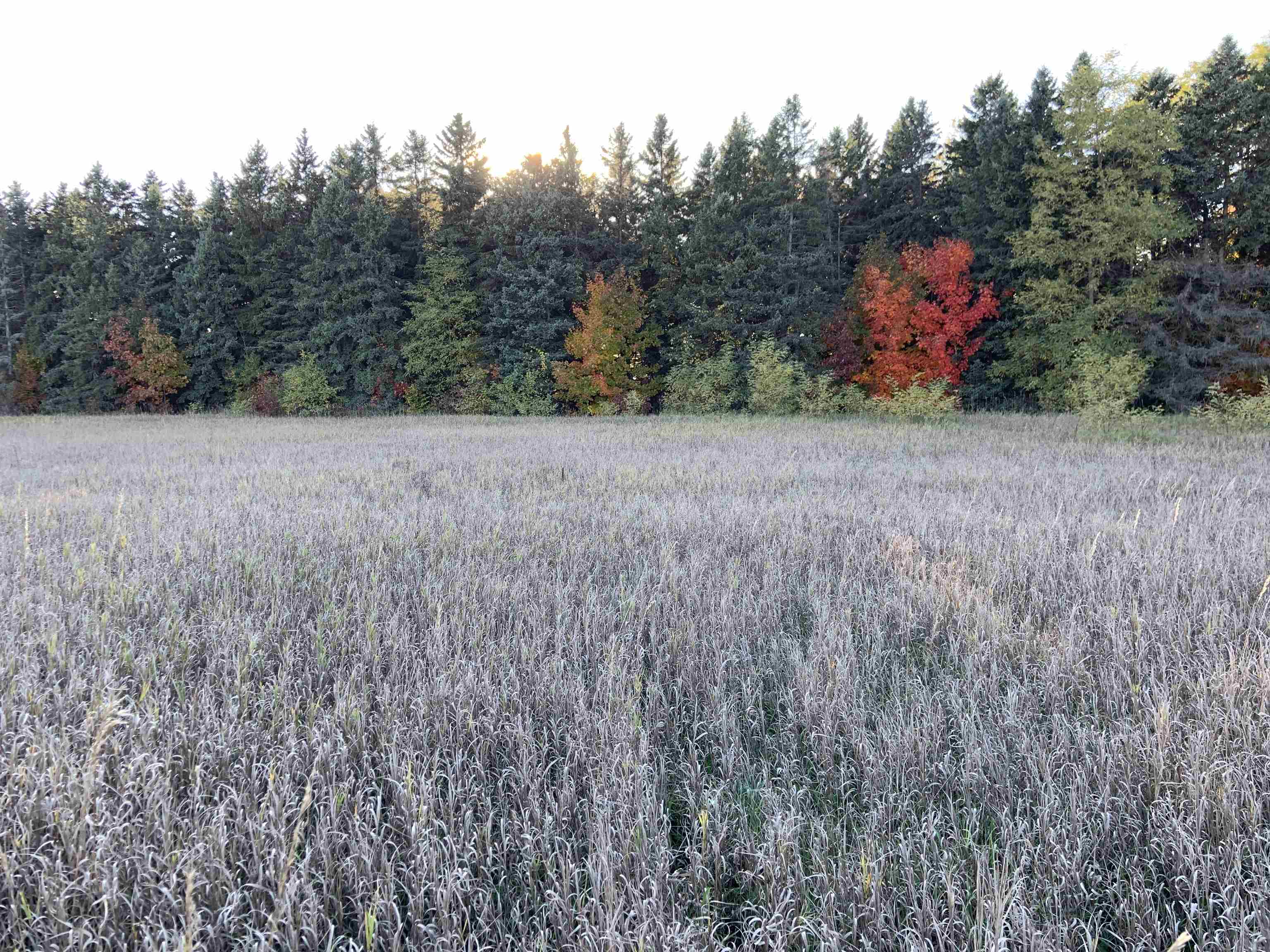 0 North East Silver Lake Road Traverse City, MI 49685 - Photo 6 of 27