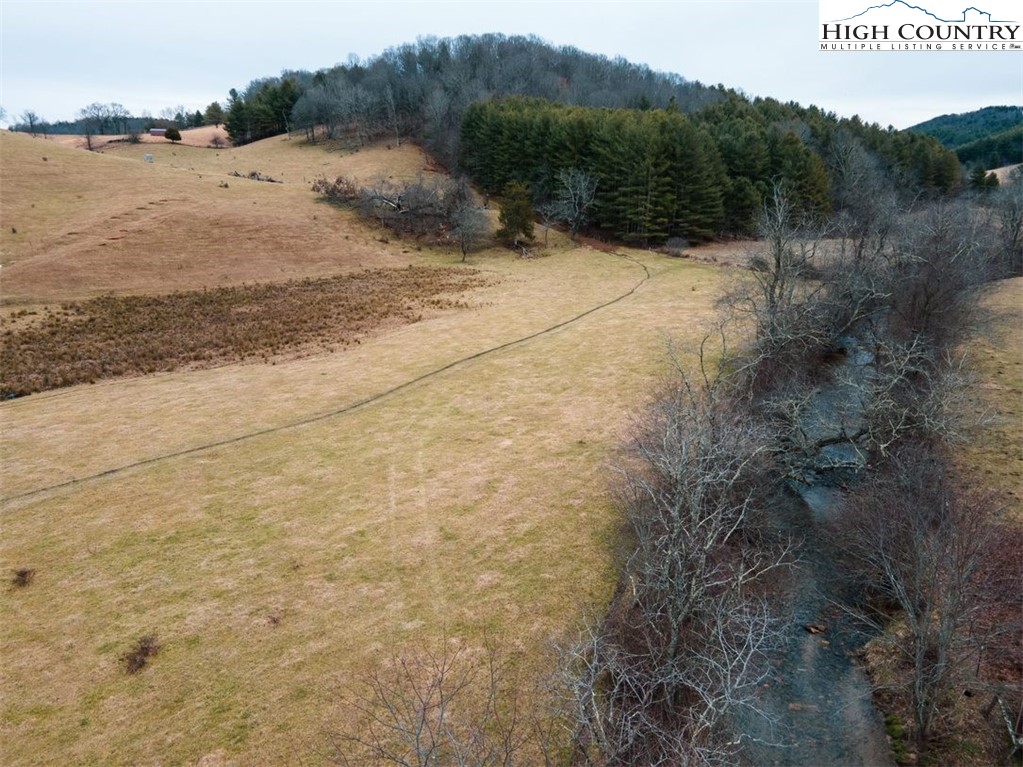 Bill Bledsoe Road Jefferson, NC 28640 - Photo 12 of 46 Gallery Image 12