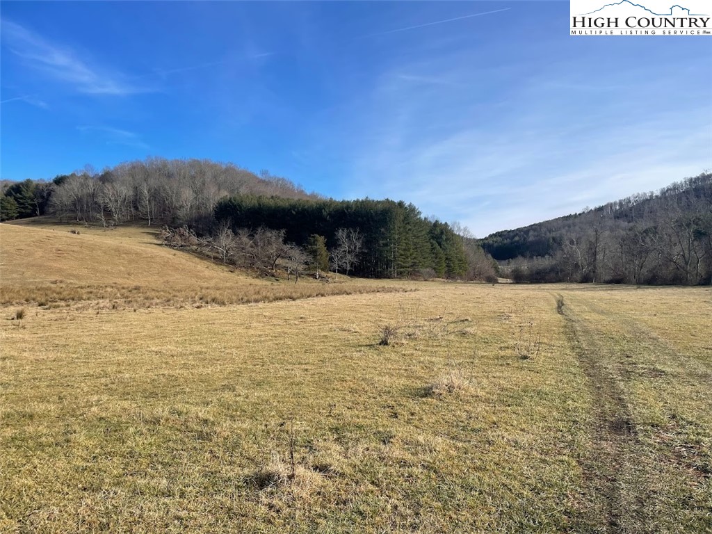Bill Bledsoe Road Jefferson, NC 28640 - Photo 22 of 46 Gallery Image 22