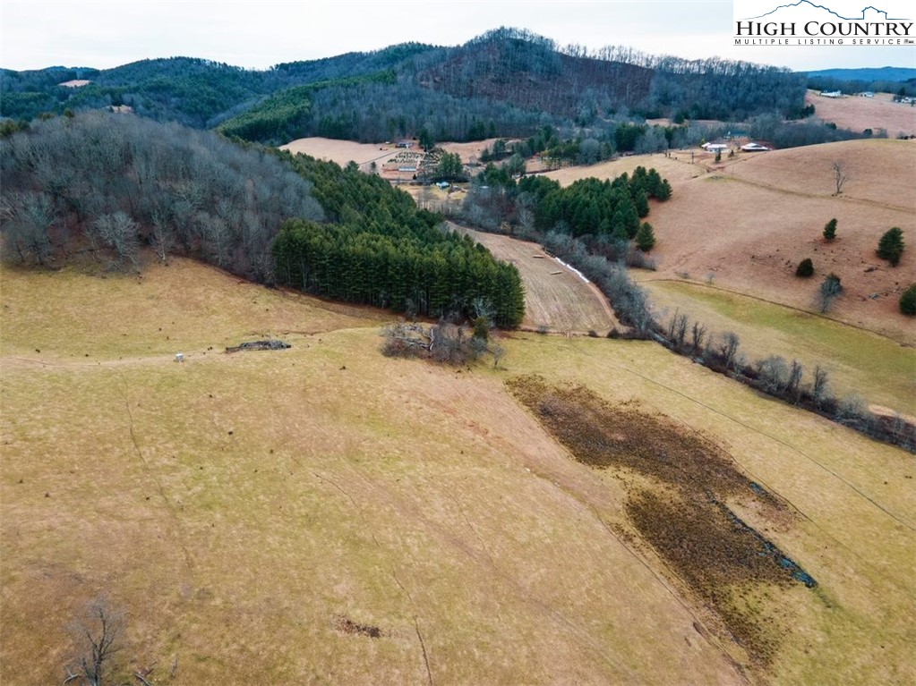 Bill Bledsoe Road Jefferson, NC 28640 - Photo 44 of 46 Gallery Image 44