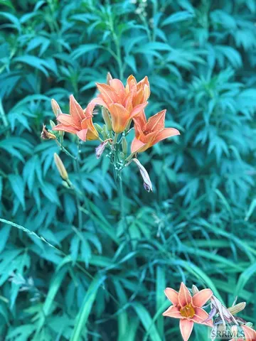 $525,000 | 2764 25th East, Idaho Falls, ID 83401