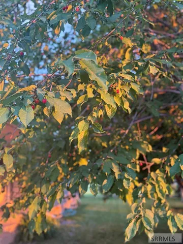 $525,000 | 2764 25th East, Idaho Falls, ID 83401