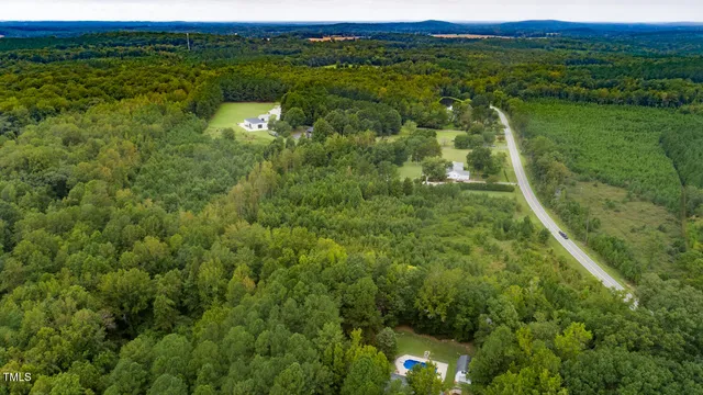 a view of a lush green forest with lots of trees