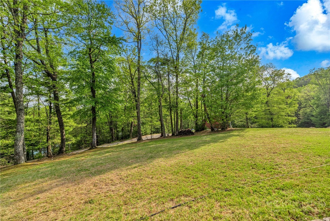 1600 Timber Ridge Road Millers Creek, NC 28651 - Photo 49 of 49
