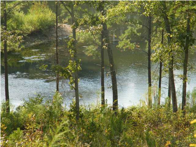 0 Utility Road, Unit 1 Rocky Face, GA 30740 - Photo 1 of 1 Primary Photo