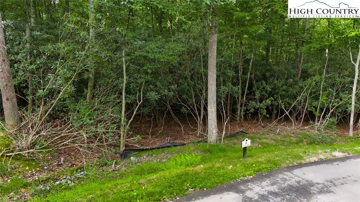 Lot R6 Coyote Trail Boone, NC 28607 - Photo 3 of 12