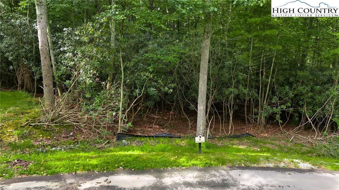 Lot R6 Coyote Trail Boone, NC 28607 - Photo 4 of 12