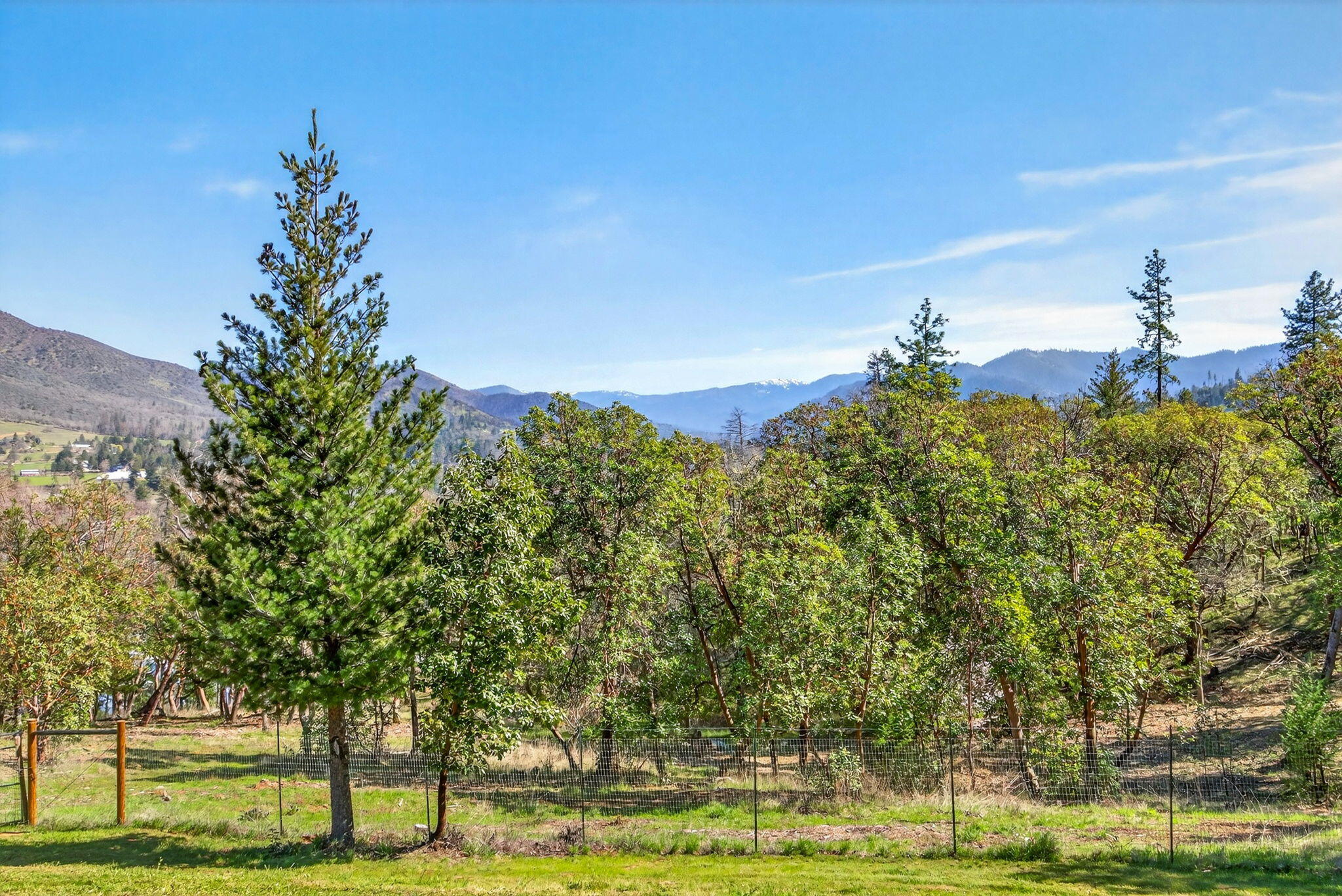 145 Lomas Road Jacksonville, OR 97530 - Photo 53 of 92