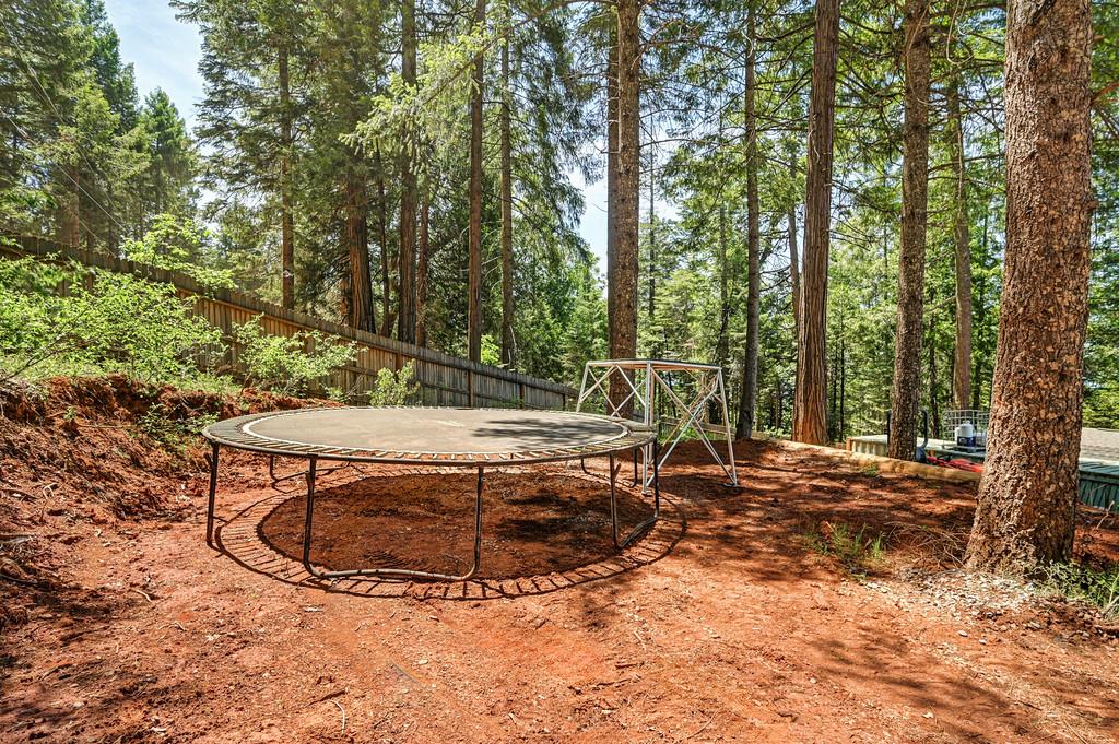 1050 Moody Ridge Road Alta, CA 95701 - Photo 48 of 77
